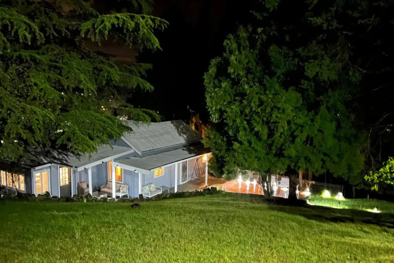 Pine Hill Cottage - shabby chic & peaceful haven 15