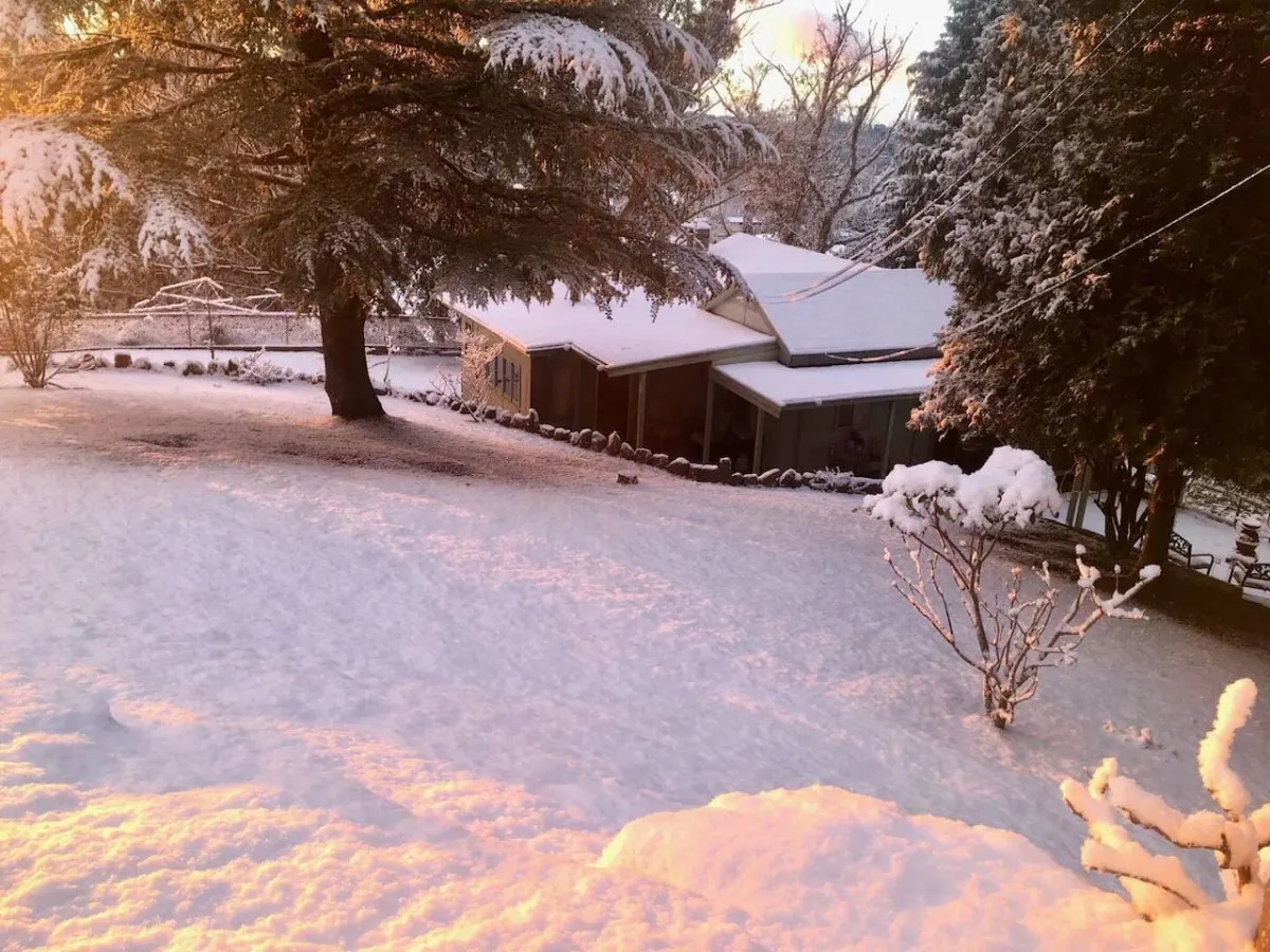 Pine Hill Cottage - shabby chic & peaceful haven 16