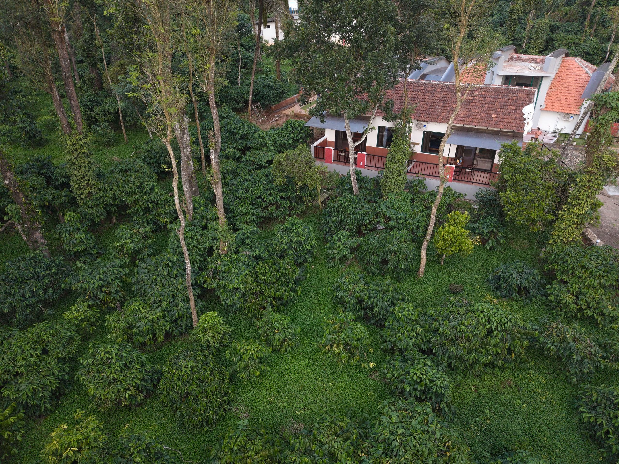 Notu by Raho Secluded Villa with Estate View 7