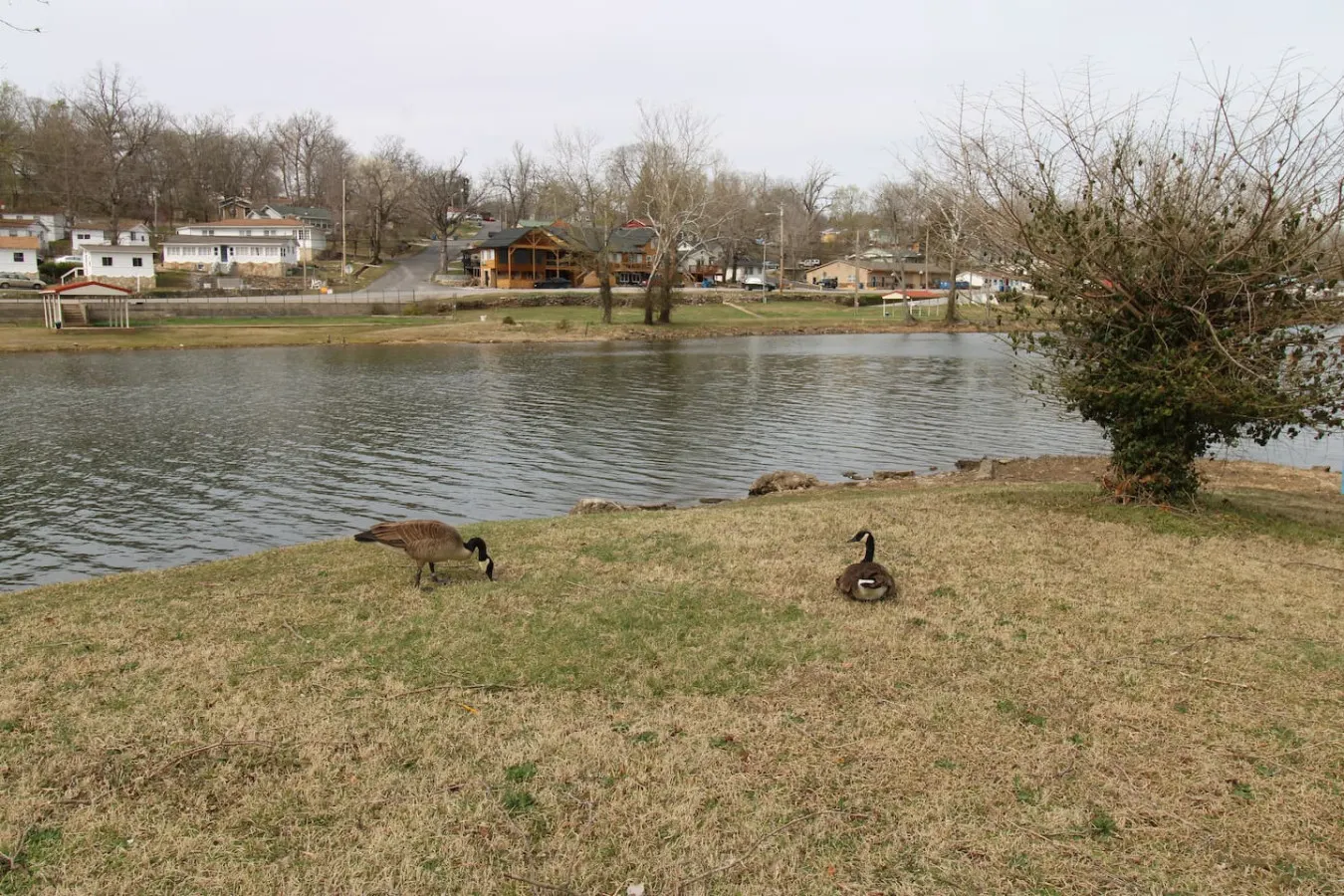 Idlewild at Duck Harbor Resort