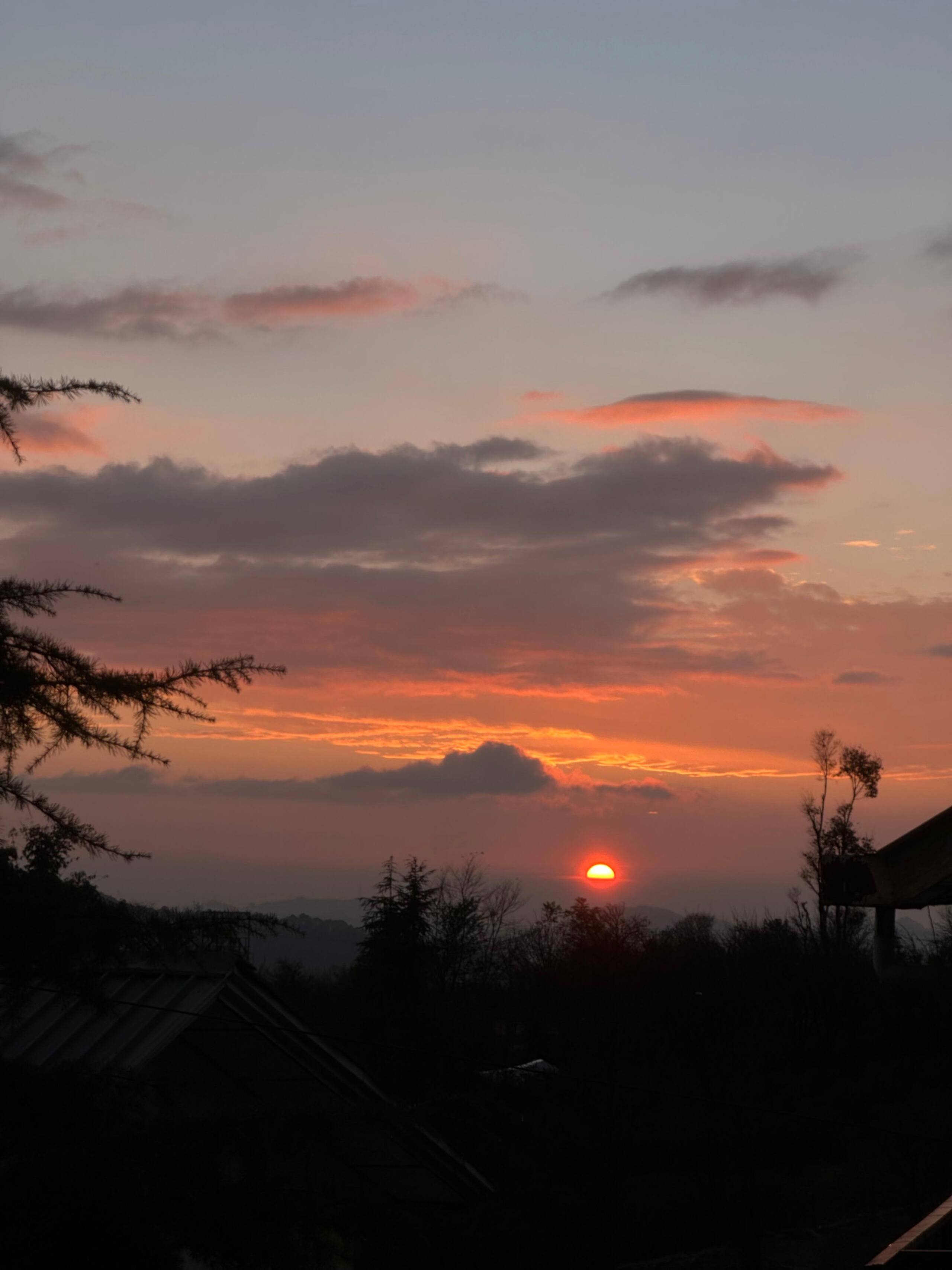 My Place Bir | Adventure stay | Himalayan Escape 4