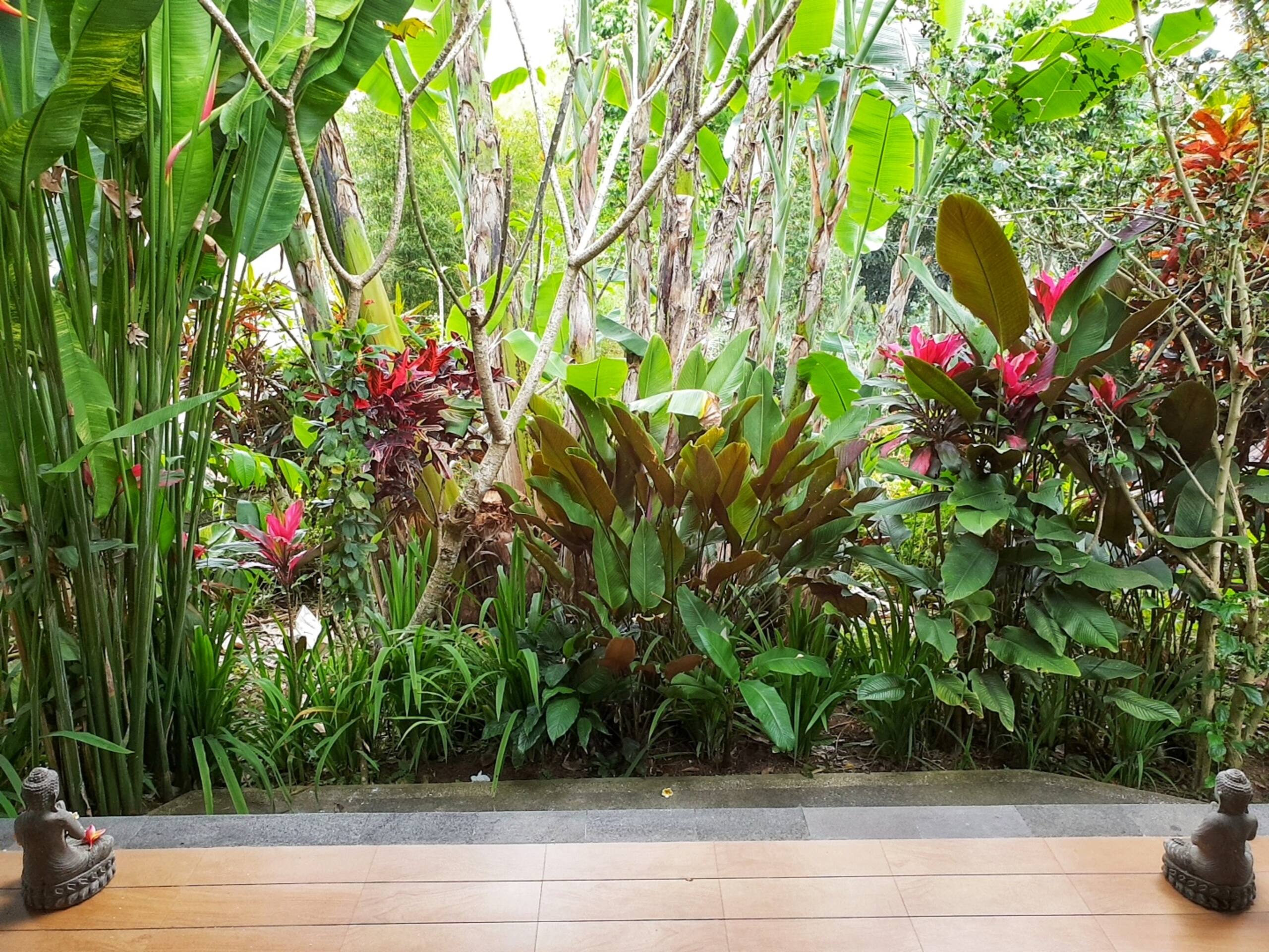 Secluded Jungle Villa #1 — photo 4