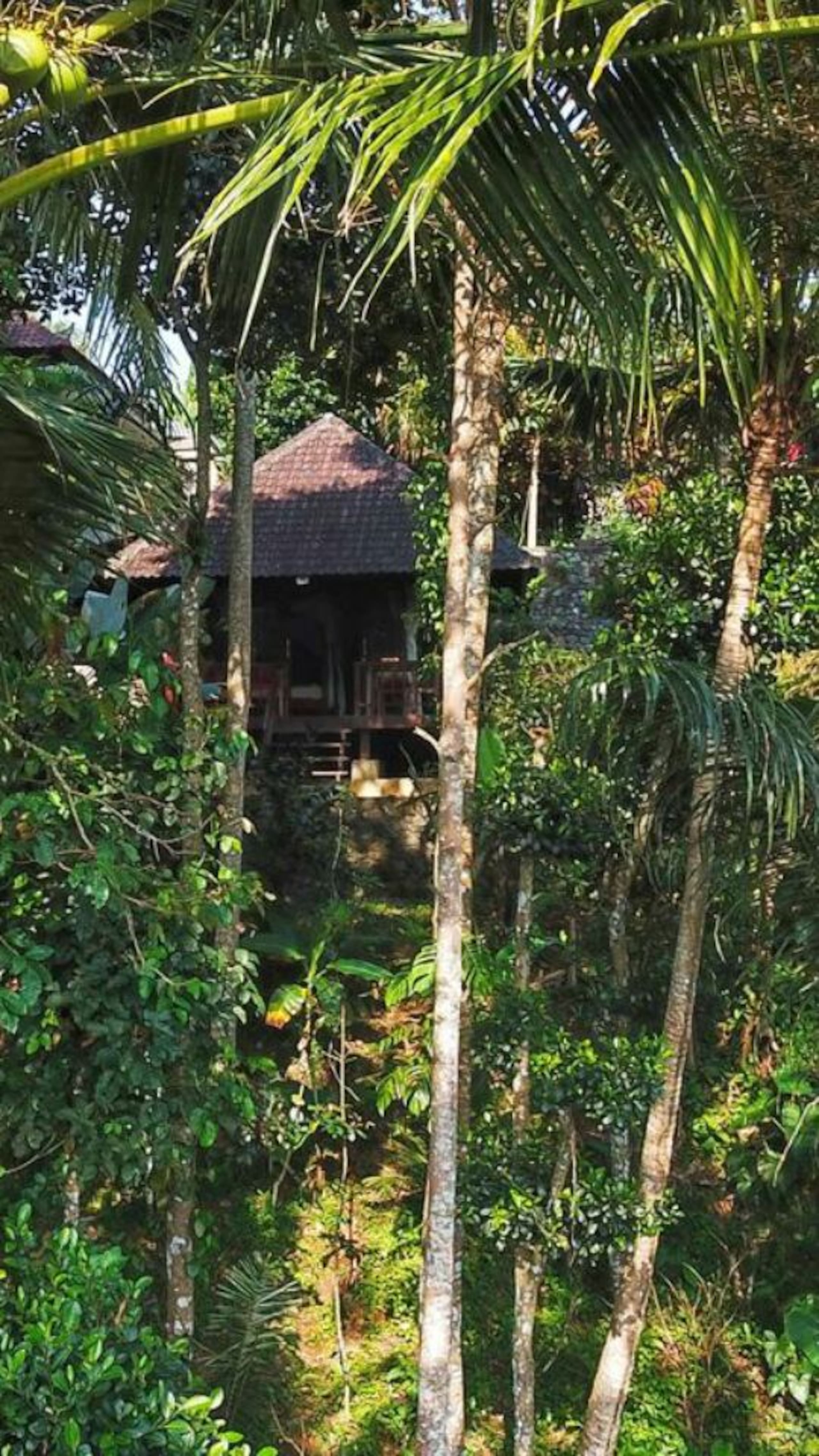 Secluded Jungle Villa #1 12
