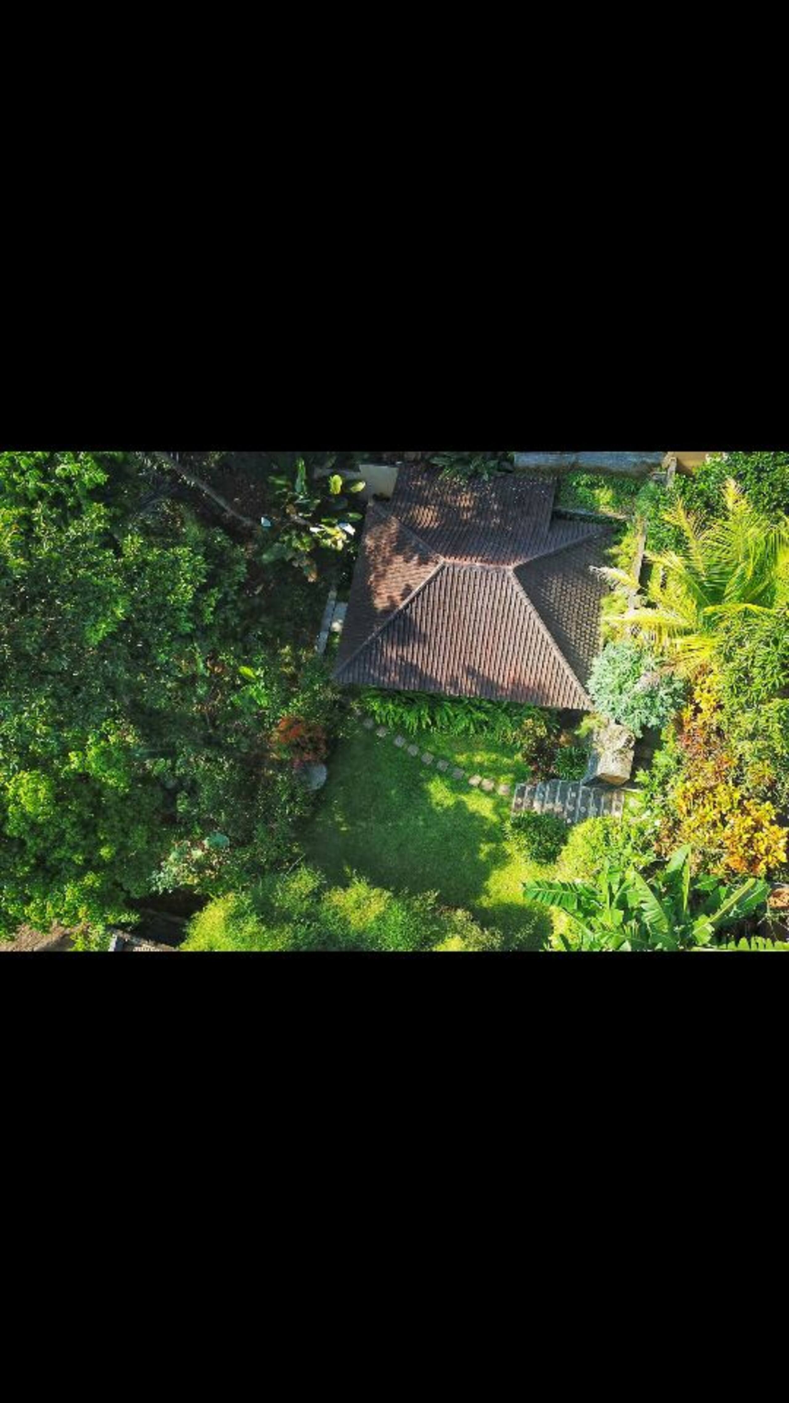 Secluded Jungle Villa #1 11
