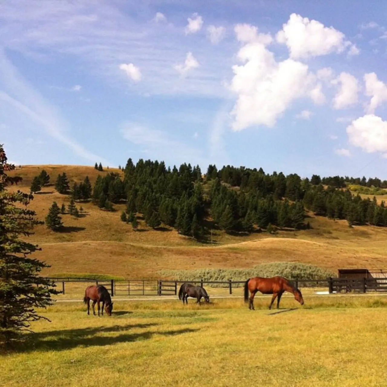 Flint Rock Ranch - The Lodge 16