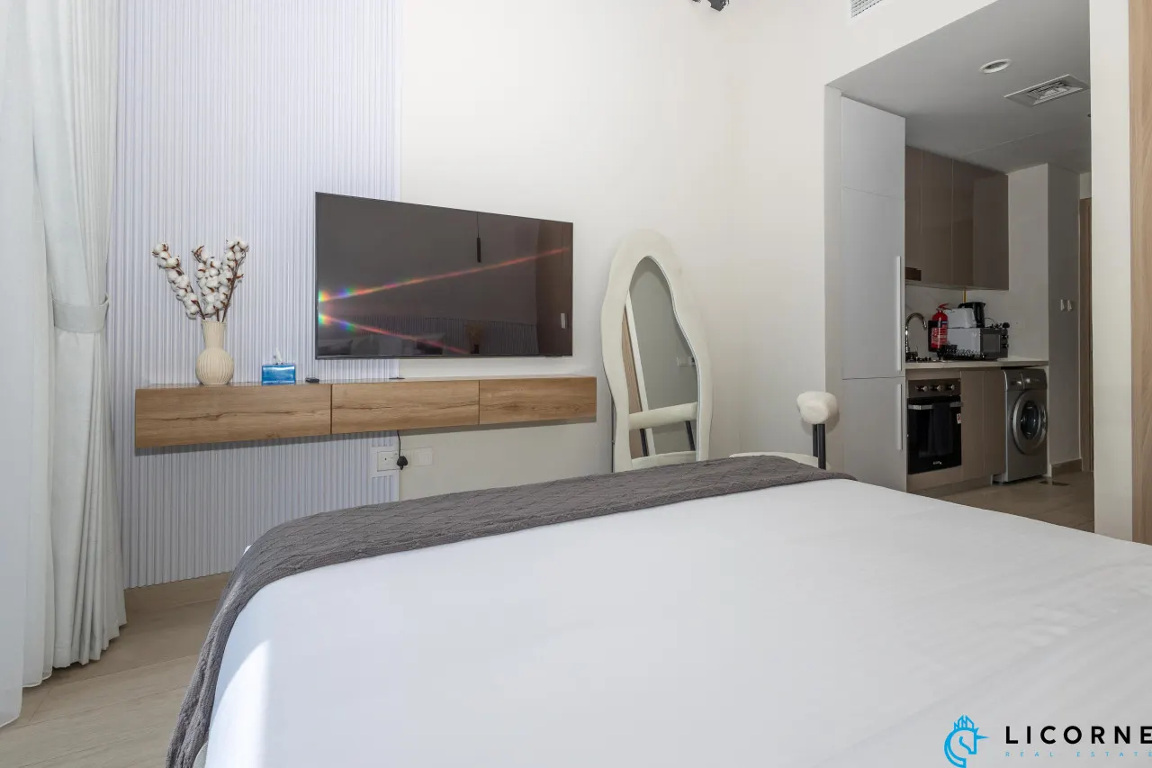 Modern Contemporary Studio in Azizi Riviera 15