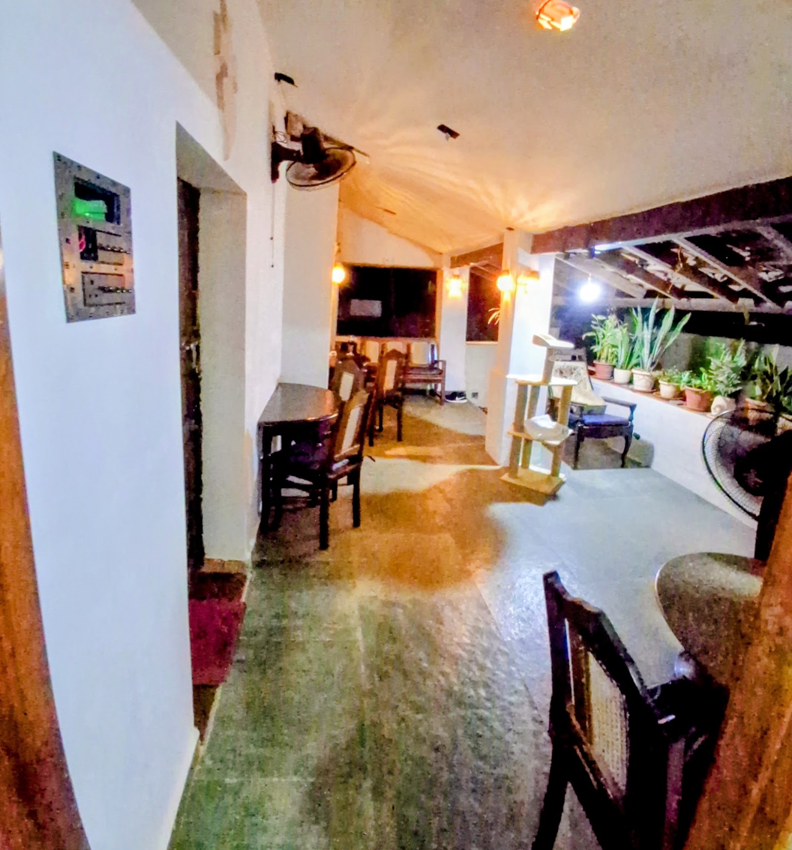 Casa Timothy Boutique Villa [By NikSu] 6