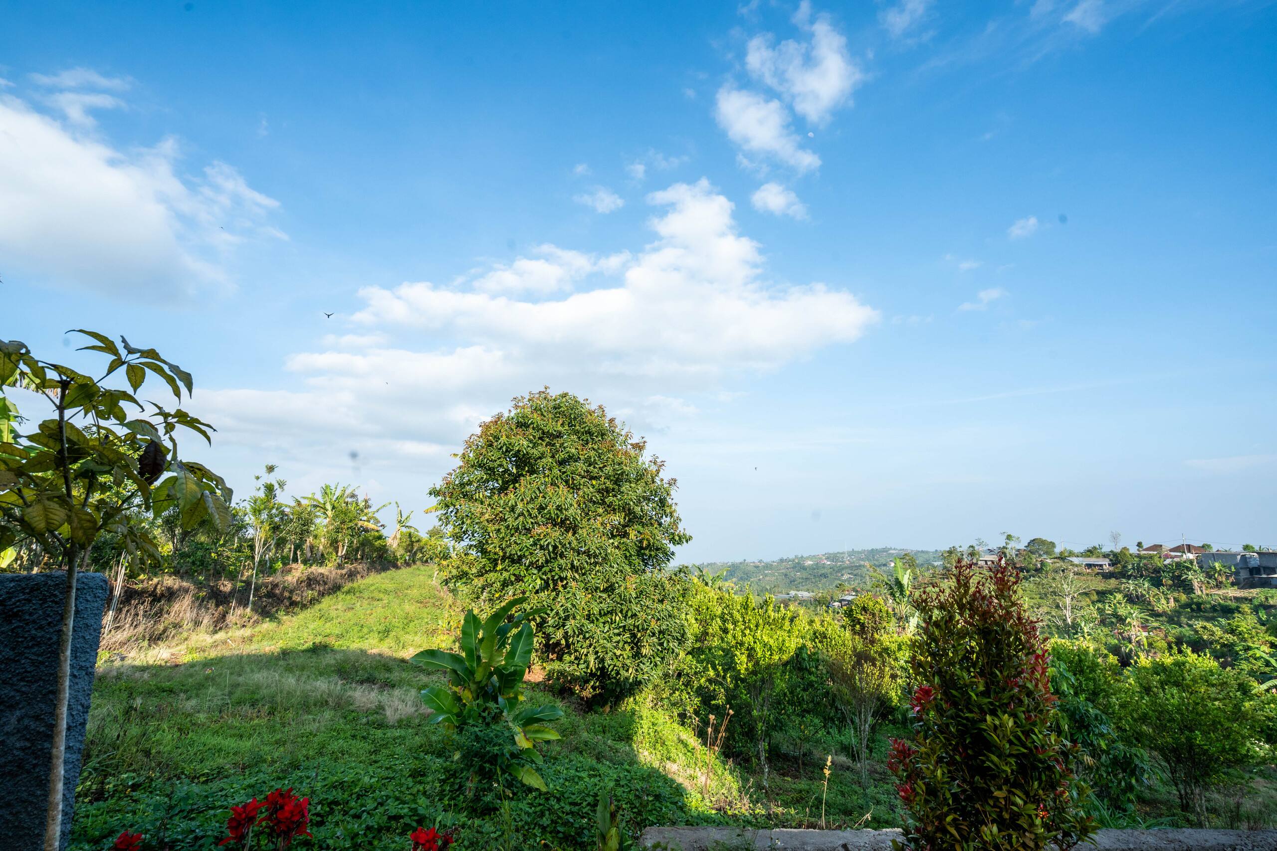 Luxury villa in Munduk Bali with Private Jacuzzi 6