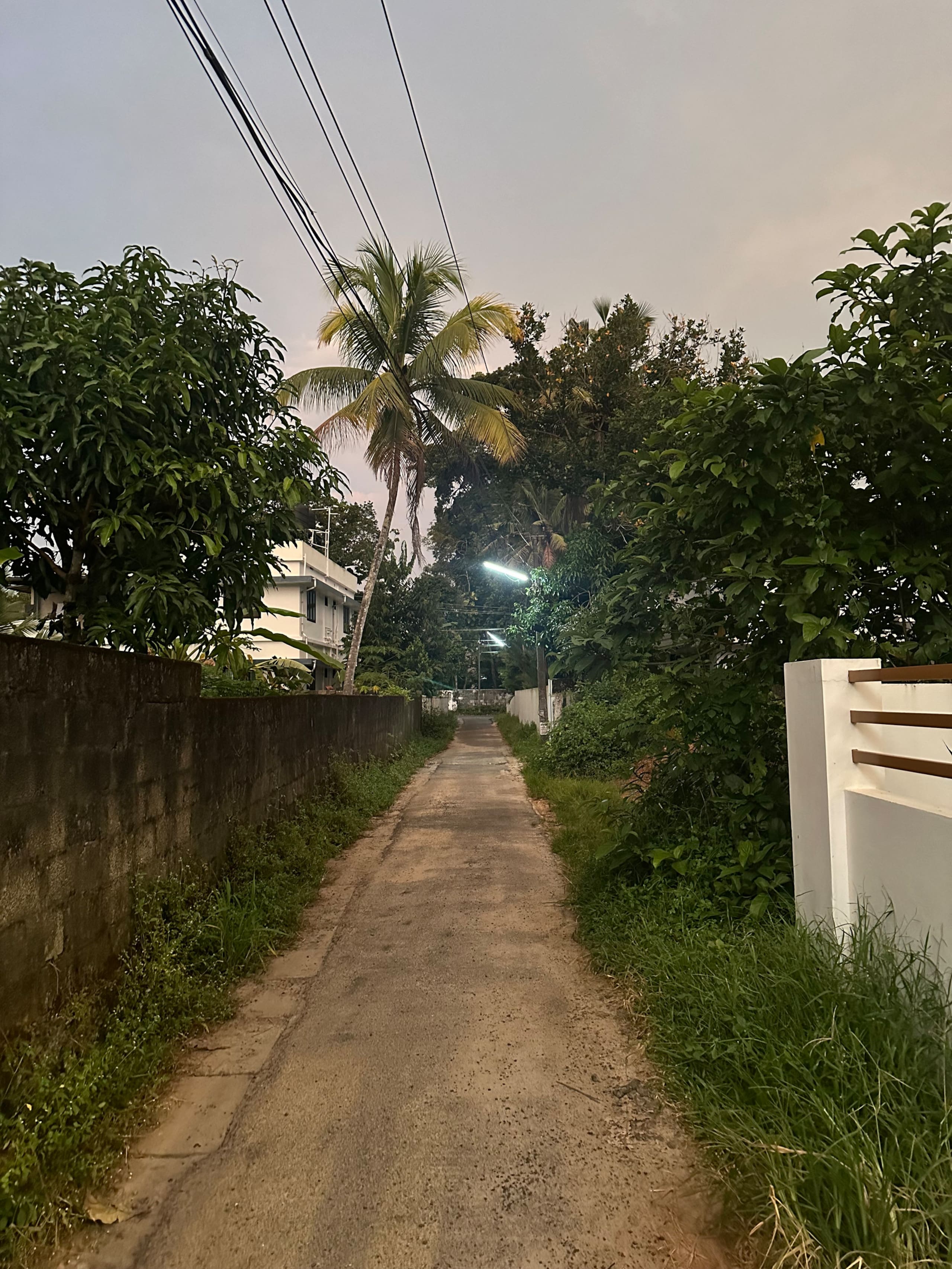 Yellow Postbox 36