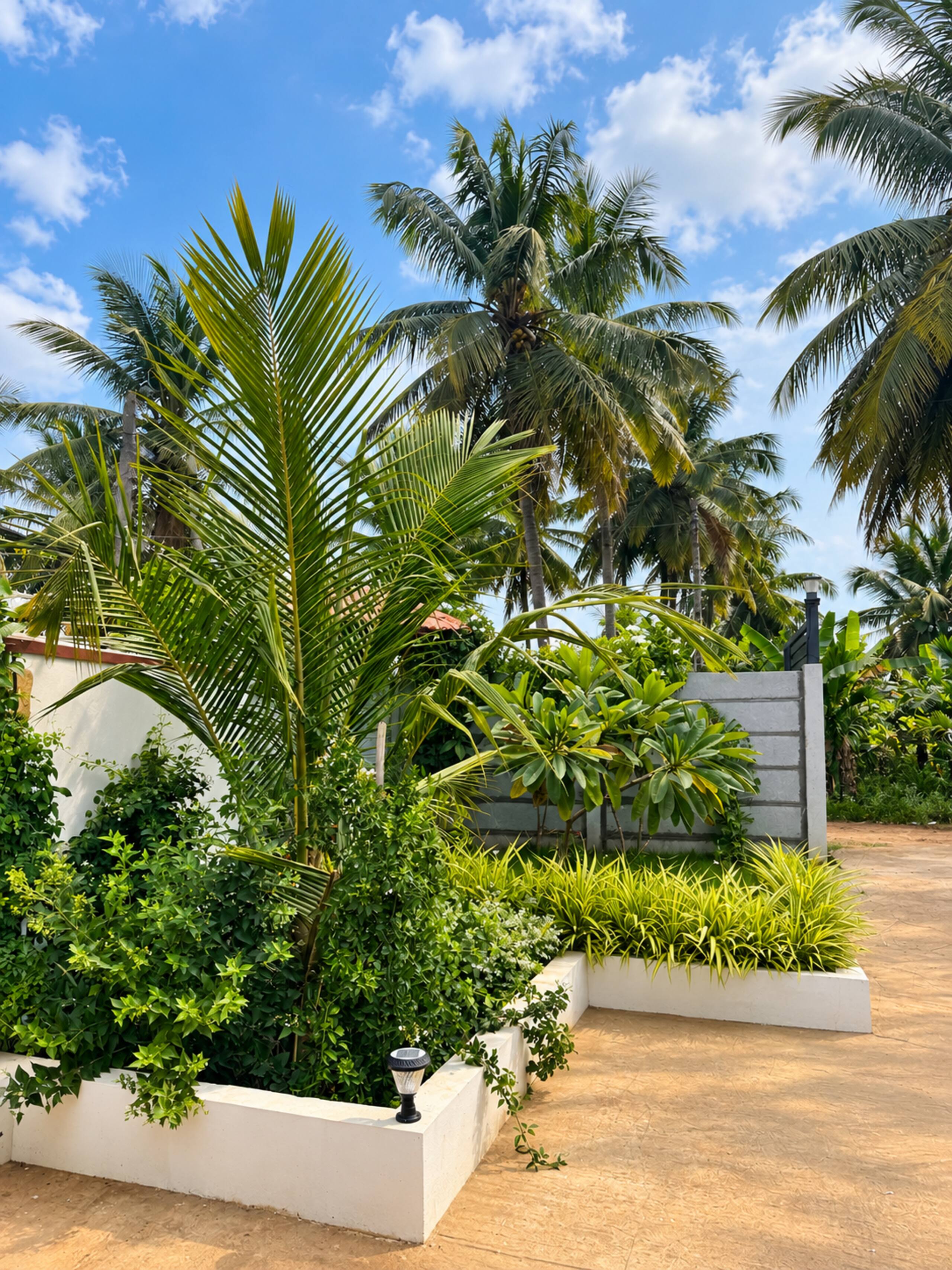 Ibbannii Retreat - Private farm stay near Kunigal 22