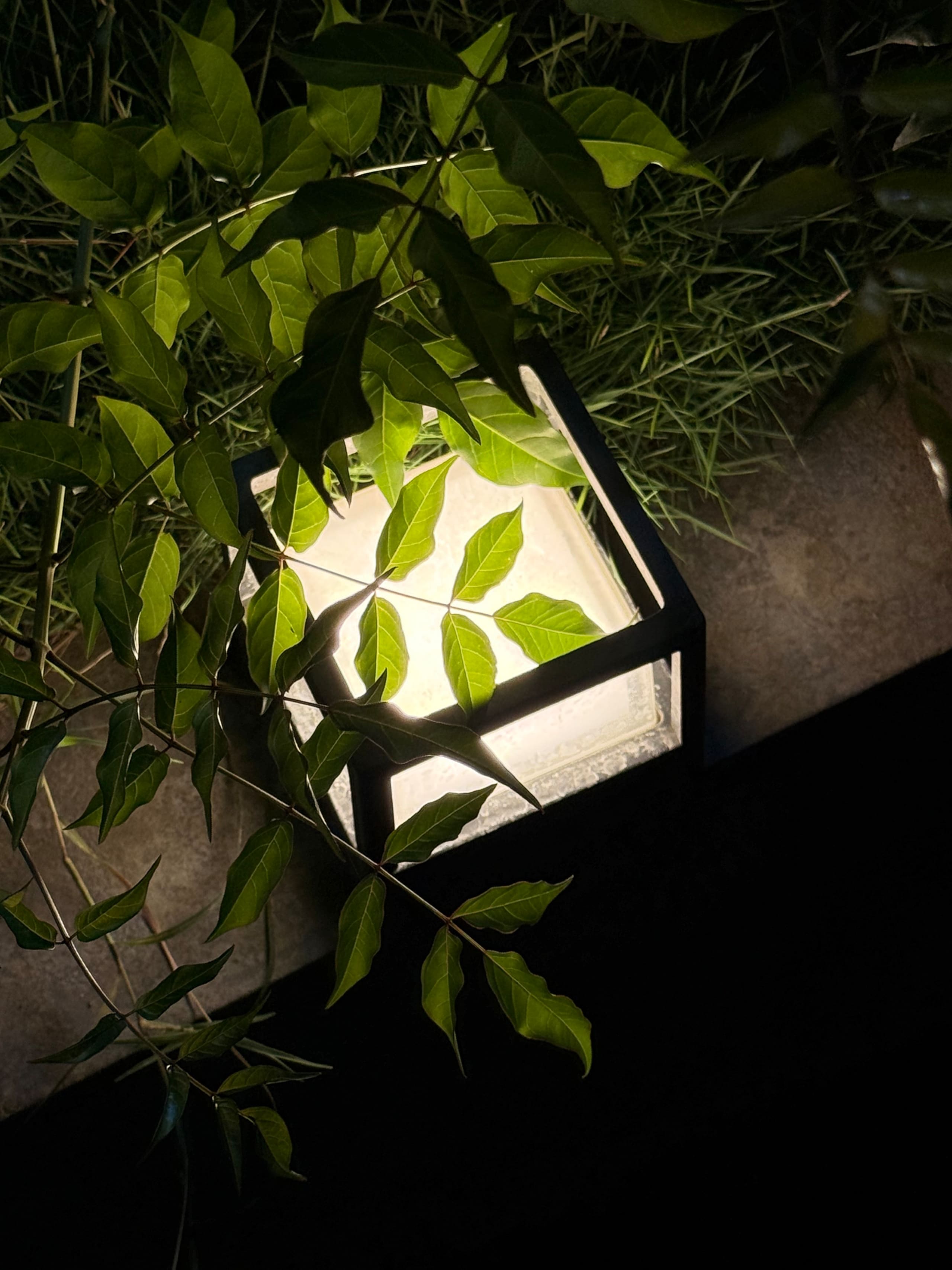 Ibbannii Retreat - Private farm stay near Kunigal 26