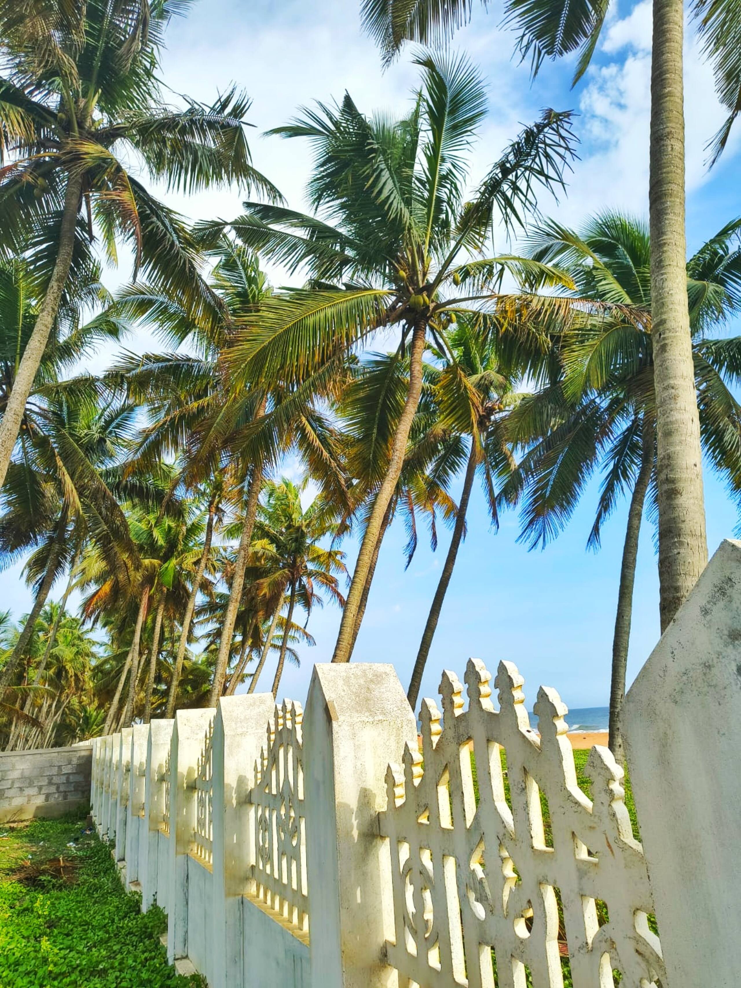 Coastal Retreat at Thanal 22