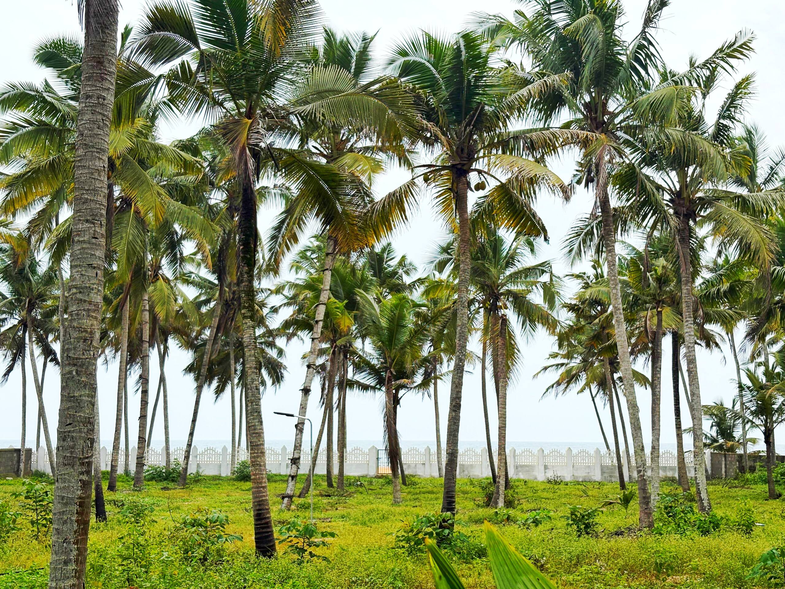 Coastal Retreat at Thanal 23