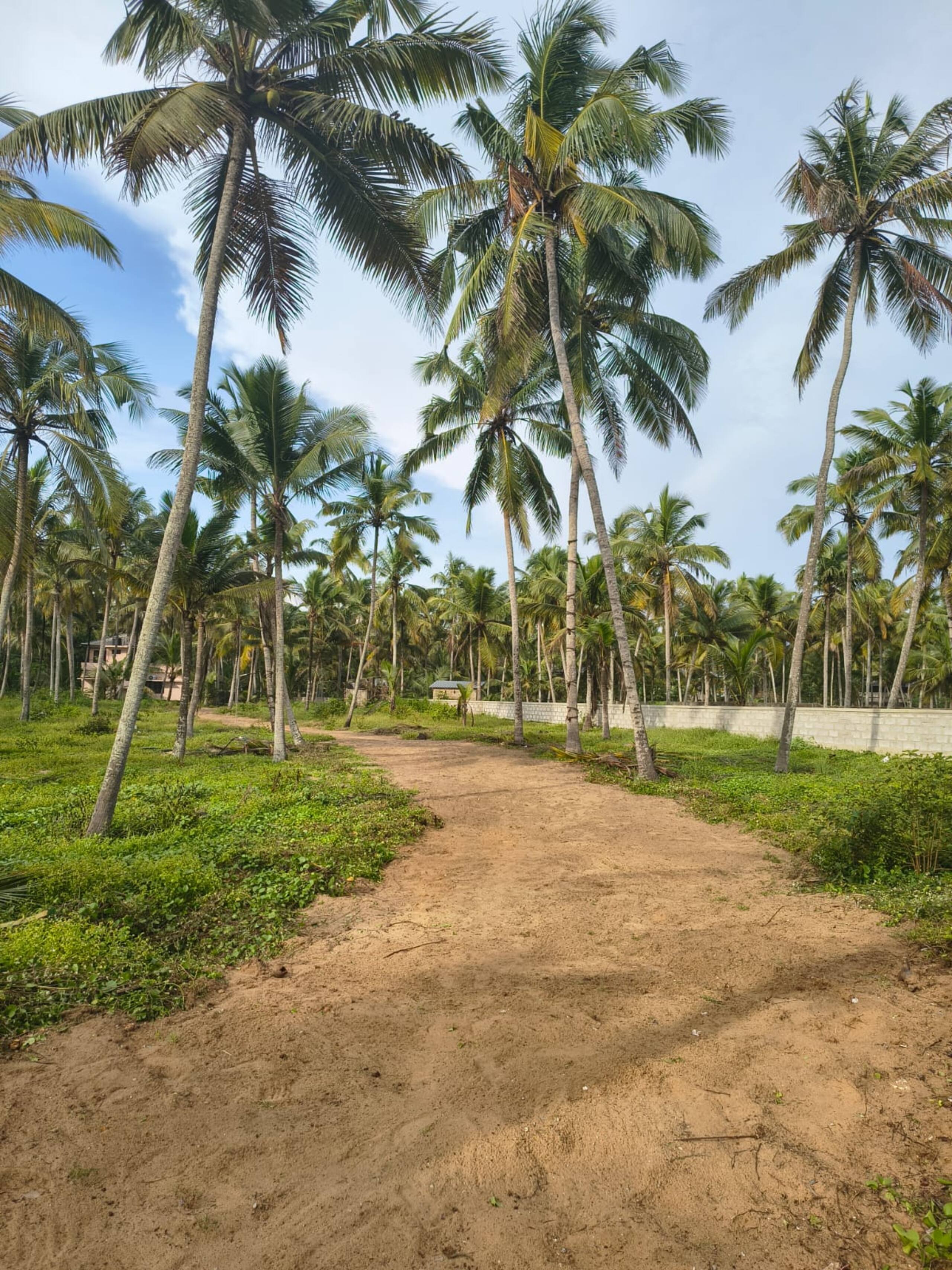Coastal Retreat at Thanal 26