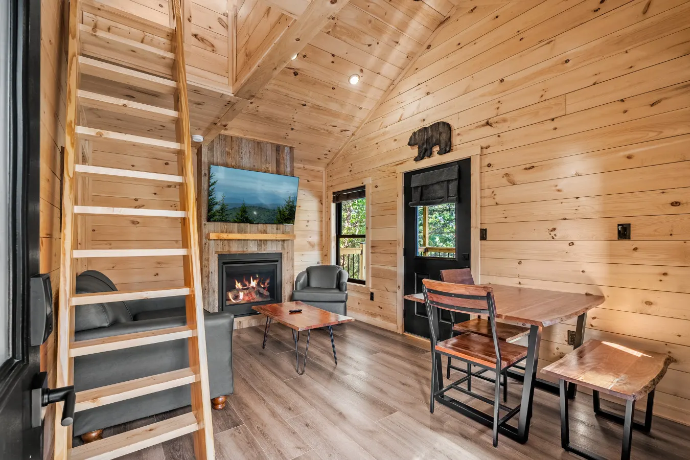 Laurel Falls, Treelodge #3 9