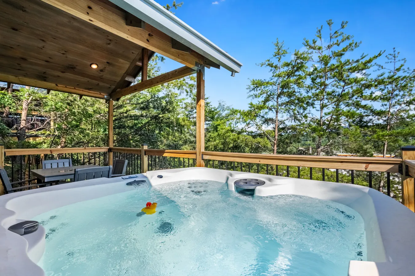 Laurel Falls, Treelodge #3 5
