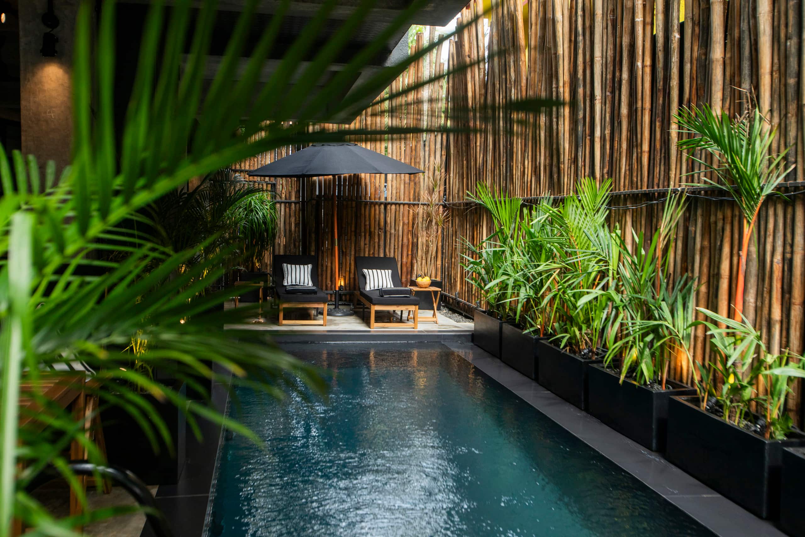 Luxe & Gorgeous 2 Bedroom Apartment 3