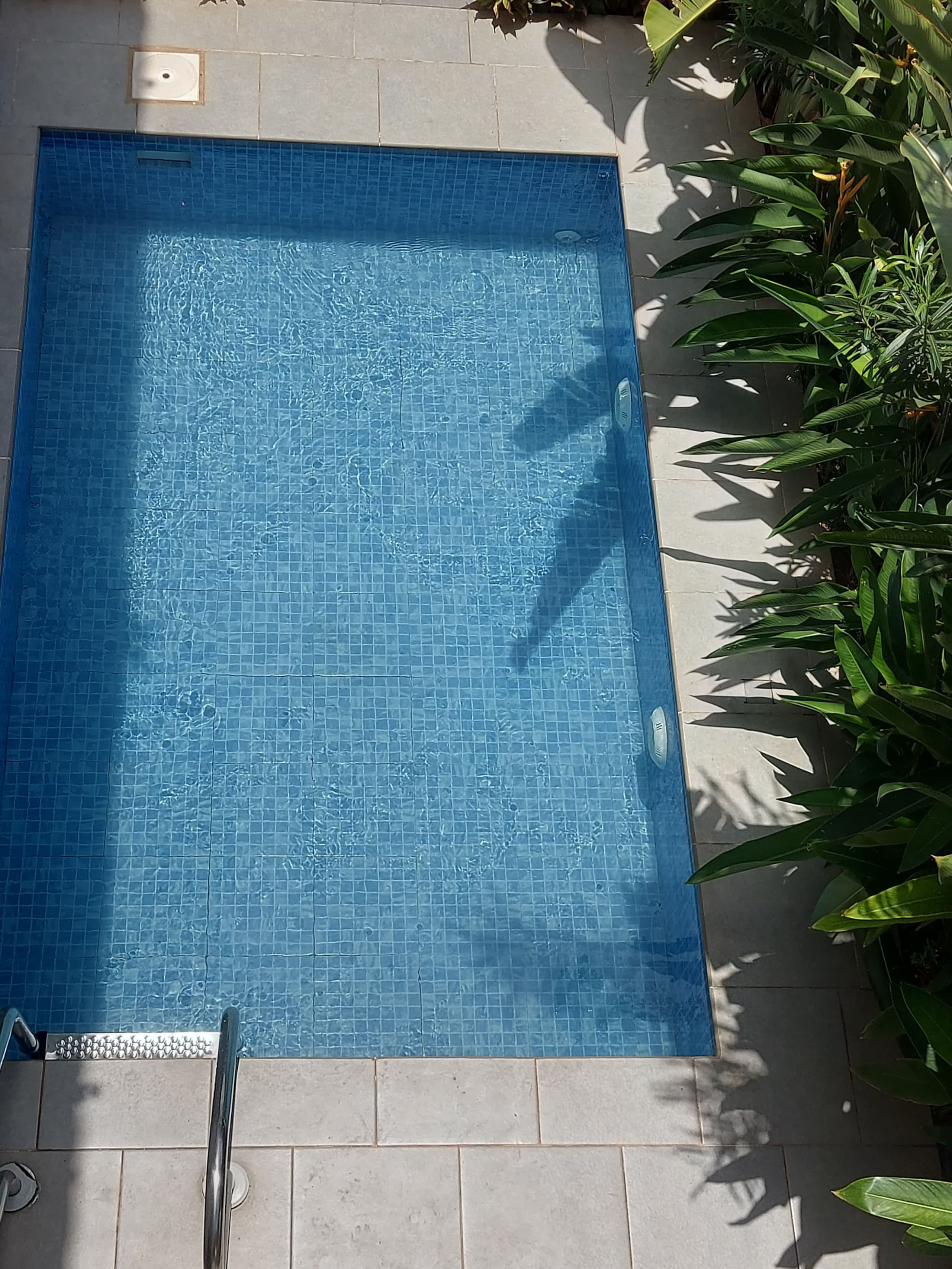 Luxury 4bhk Villa with pvt pool/Cook in Assagao 18