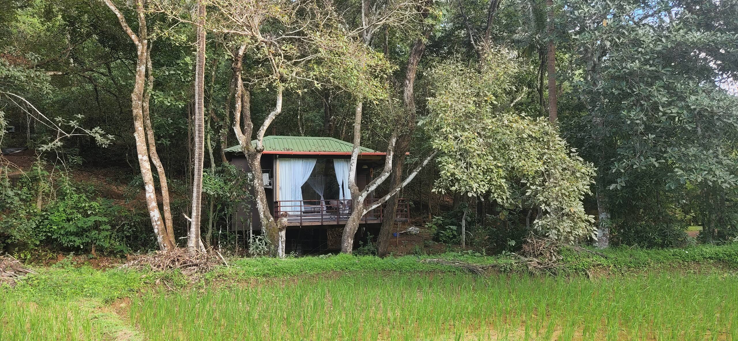Machan @ Captain's Camp