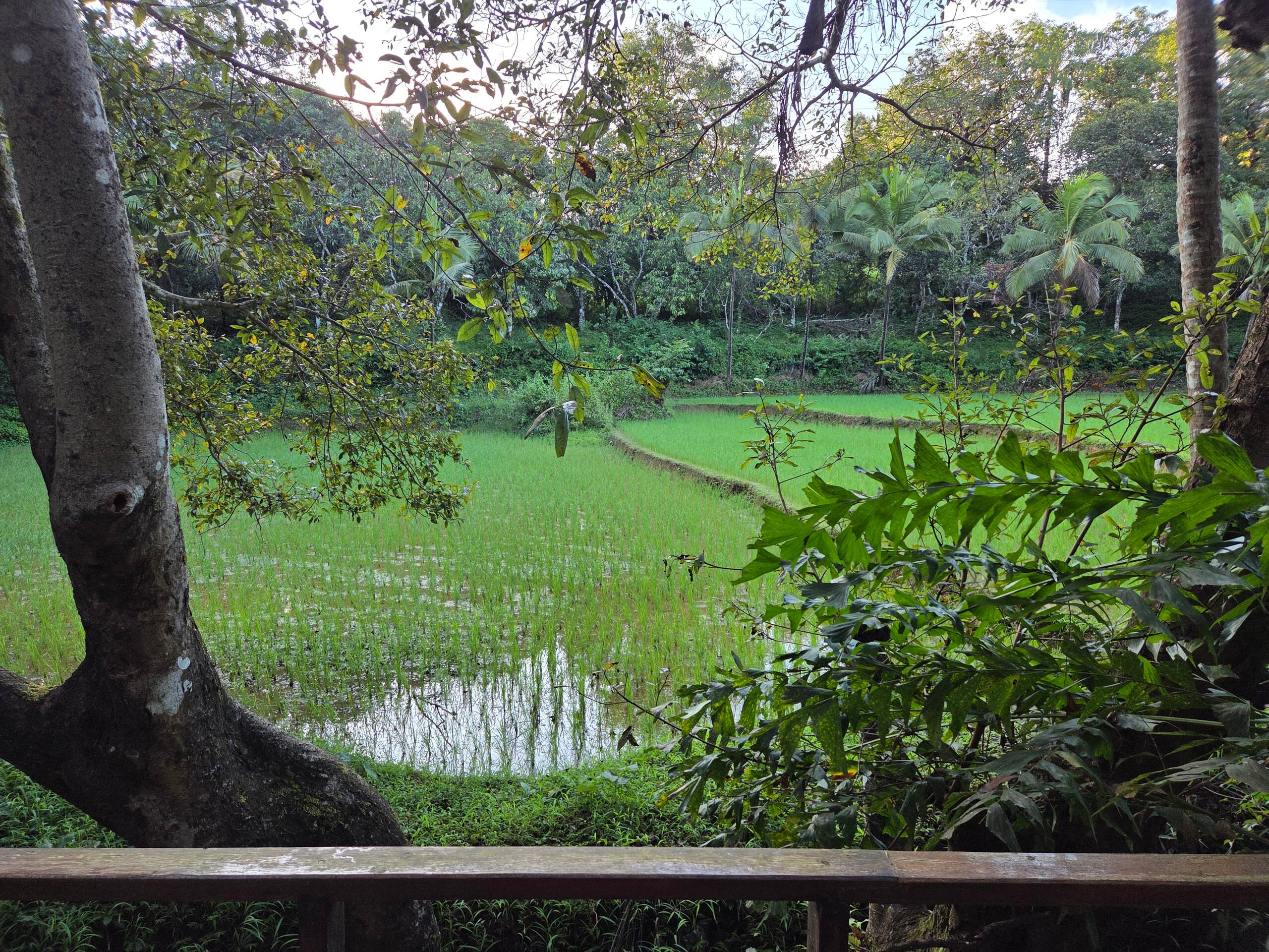 Machan @ Captain's Camp 14