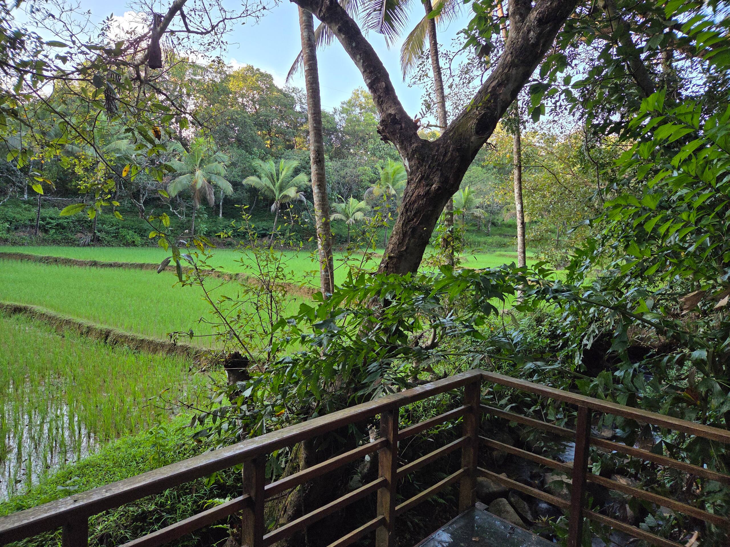 Machan @ Captain's Camp 17