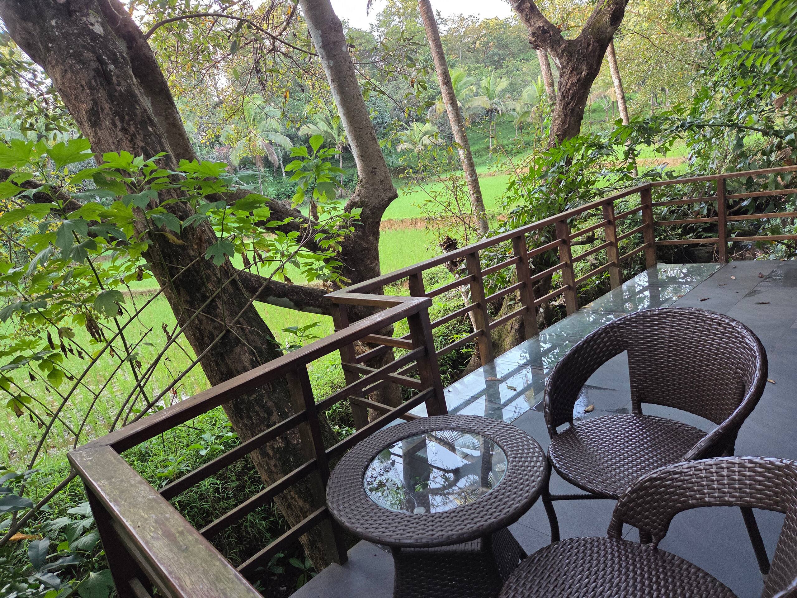 Machan @ Captain's Camp 19