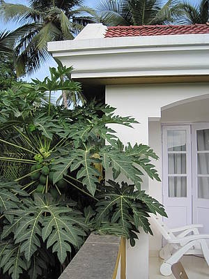 Casa Jorge – Stylish Villa with Pool & Garden 6