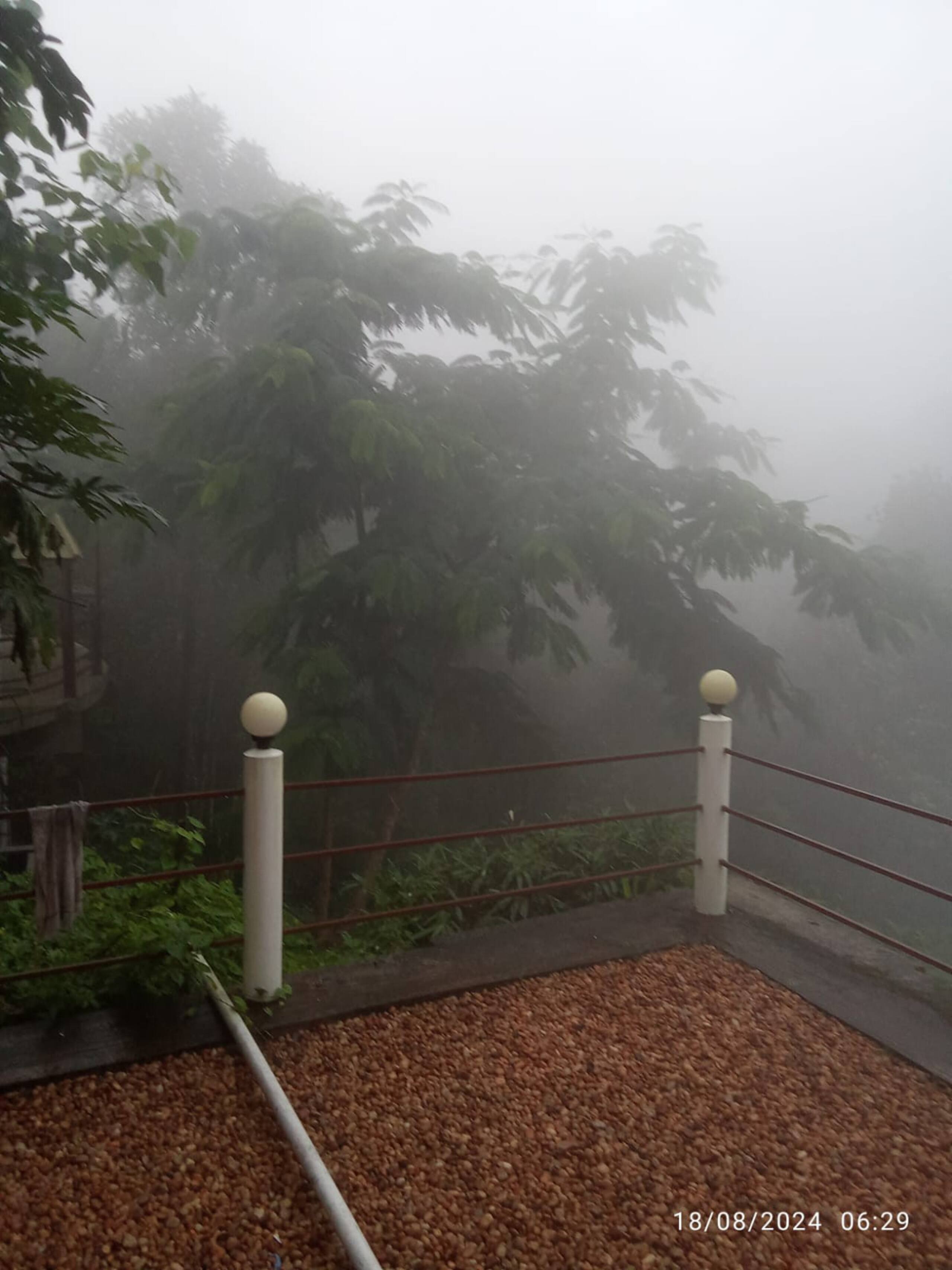 Barefoot Plantation Stay; Entire Top Floor A/c 13