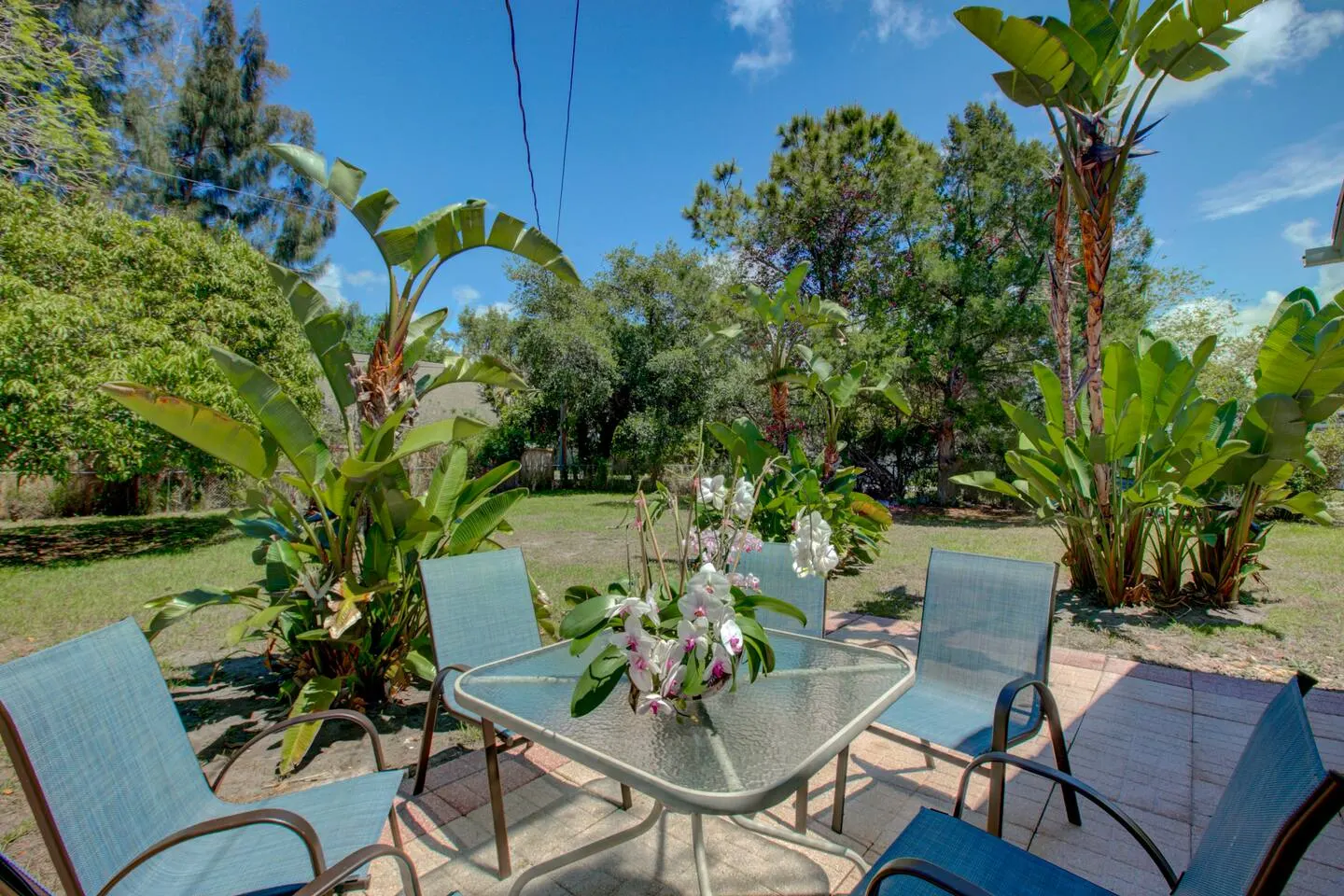 Mid-Century Retreat close to Everything 19
