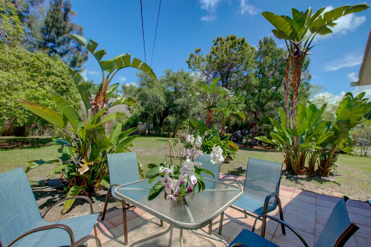 Mid-Century Retreat close to Everything. — photo 4