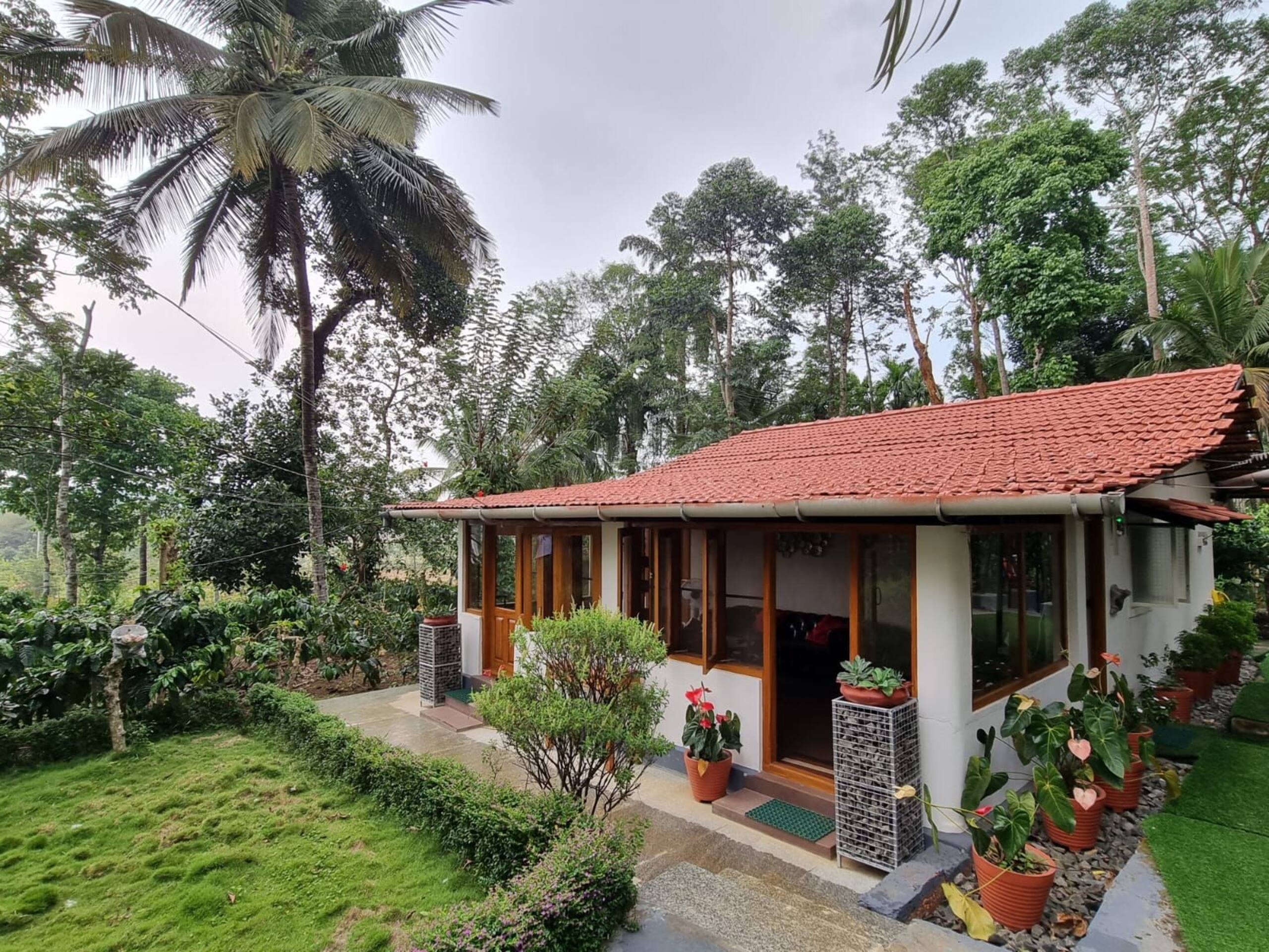 Little Flower Estate, South Kodagu 11