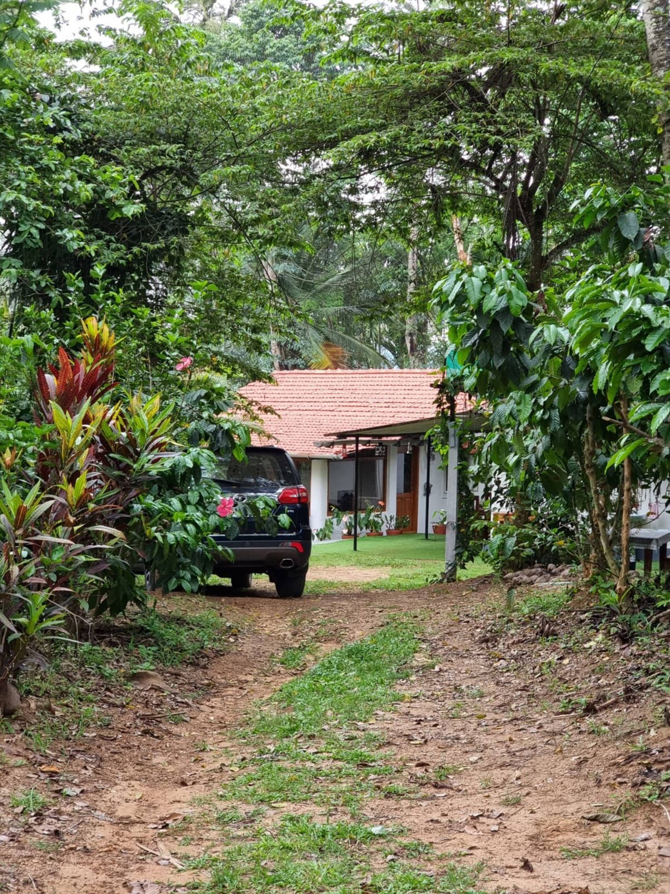 Little Flower Estate, South Kodagu 32