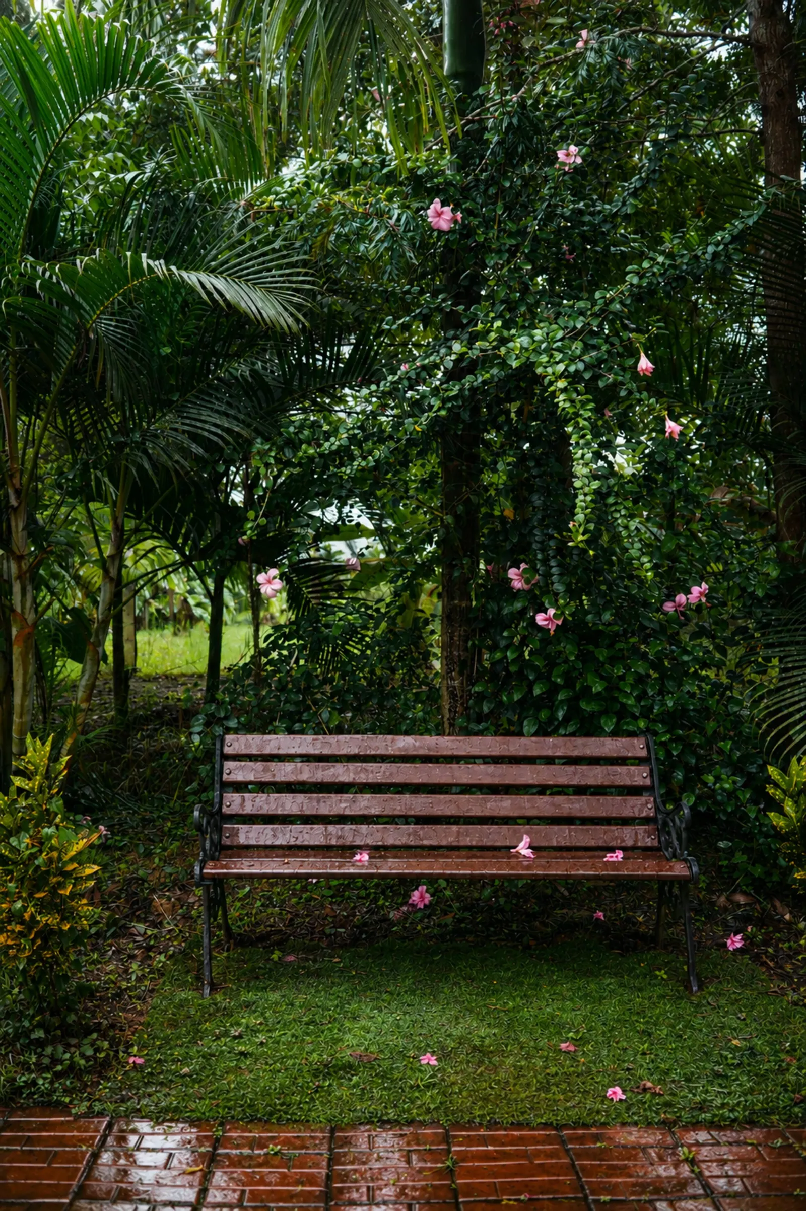 Little Flower Estate, South Kodagu 4