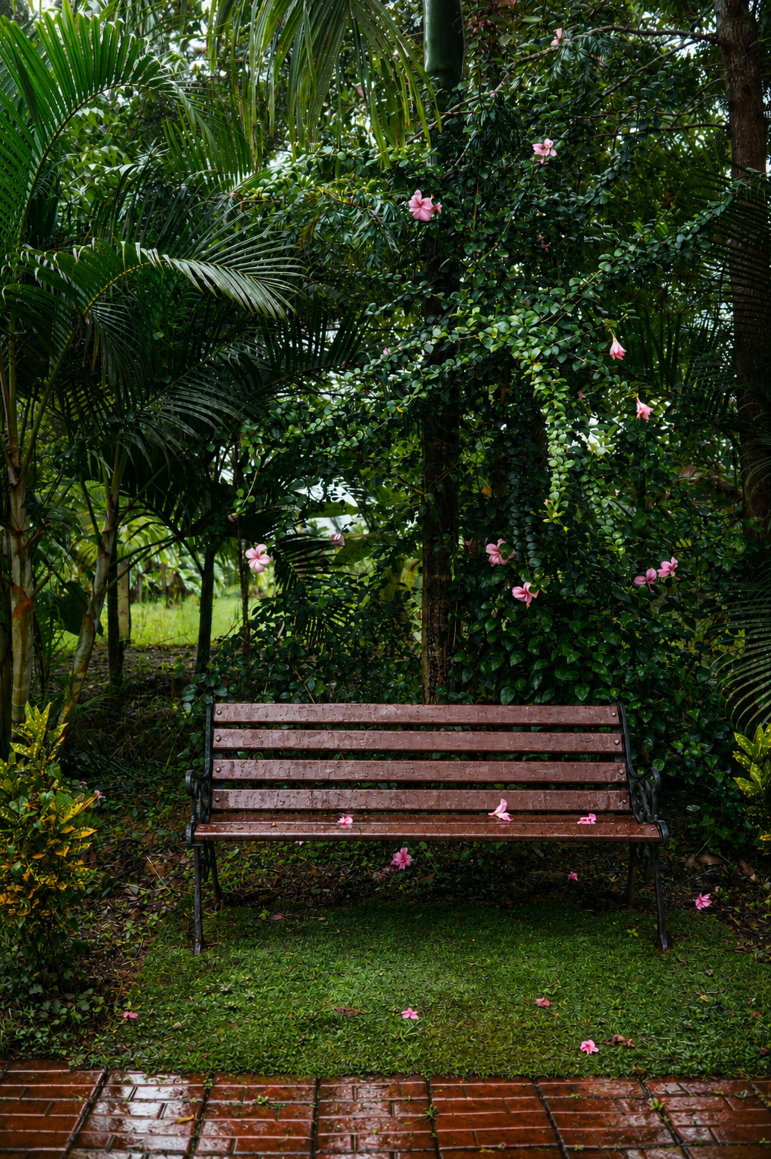 Little Flower Estate, South Kodagu — photo 4
