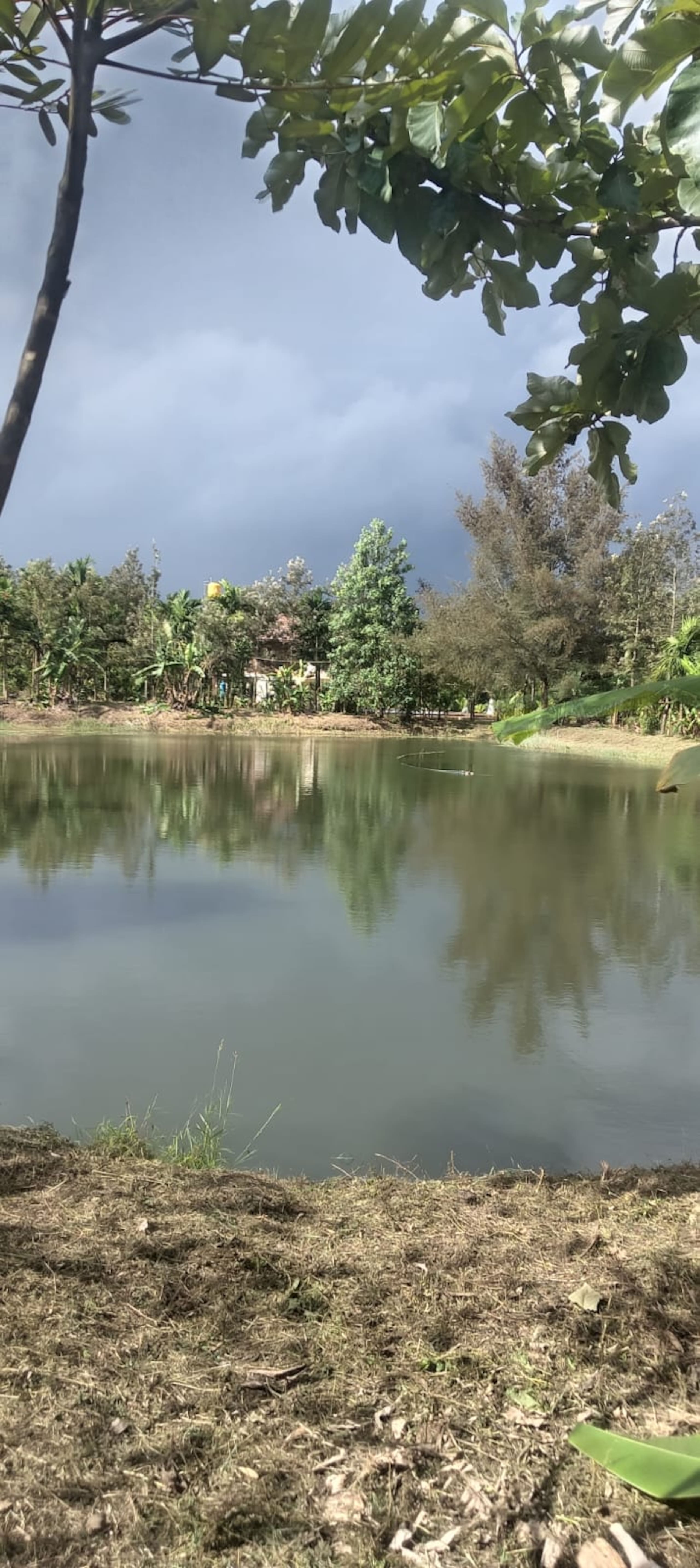 Little Flower Estate, South Kodagu 30