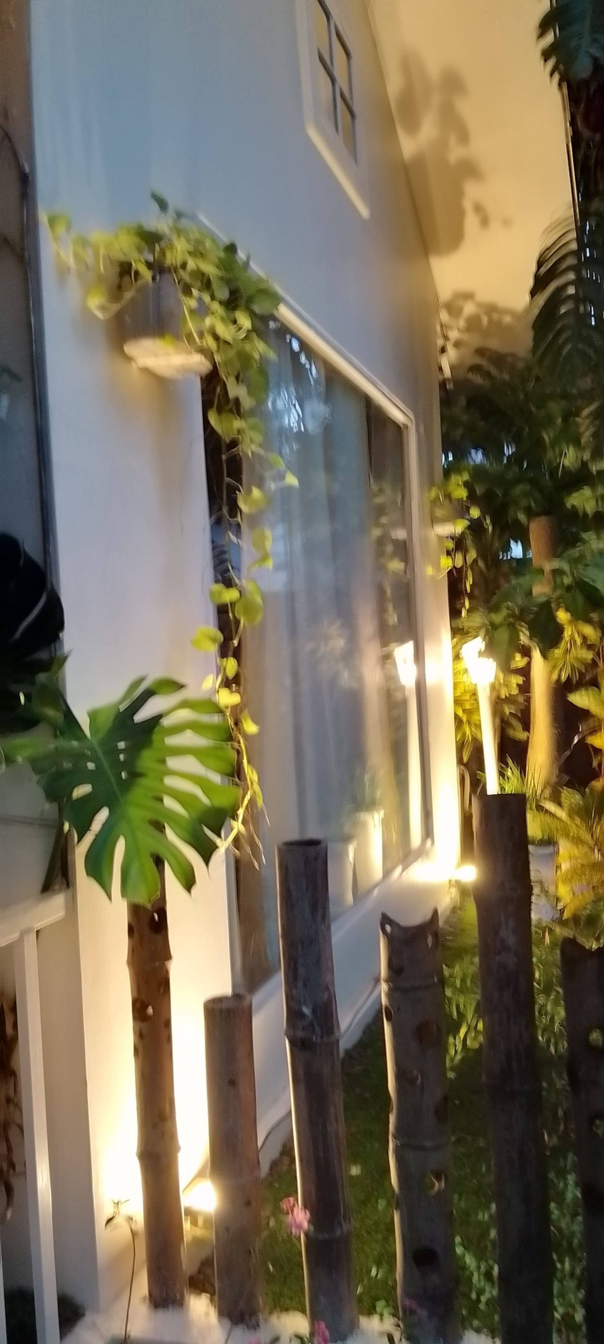 Natur Casa- Private Cottage nestled in nature! 4