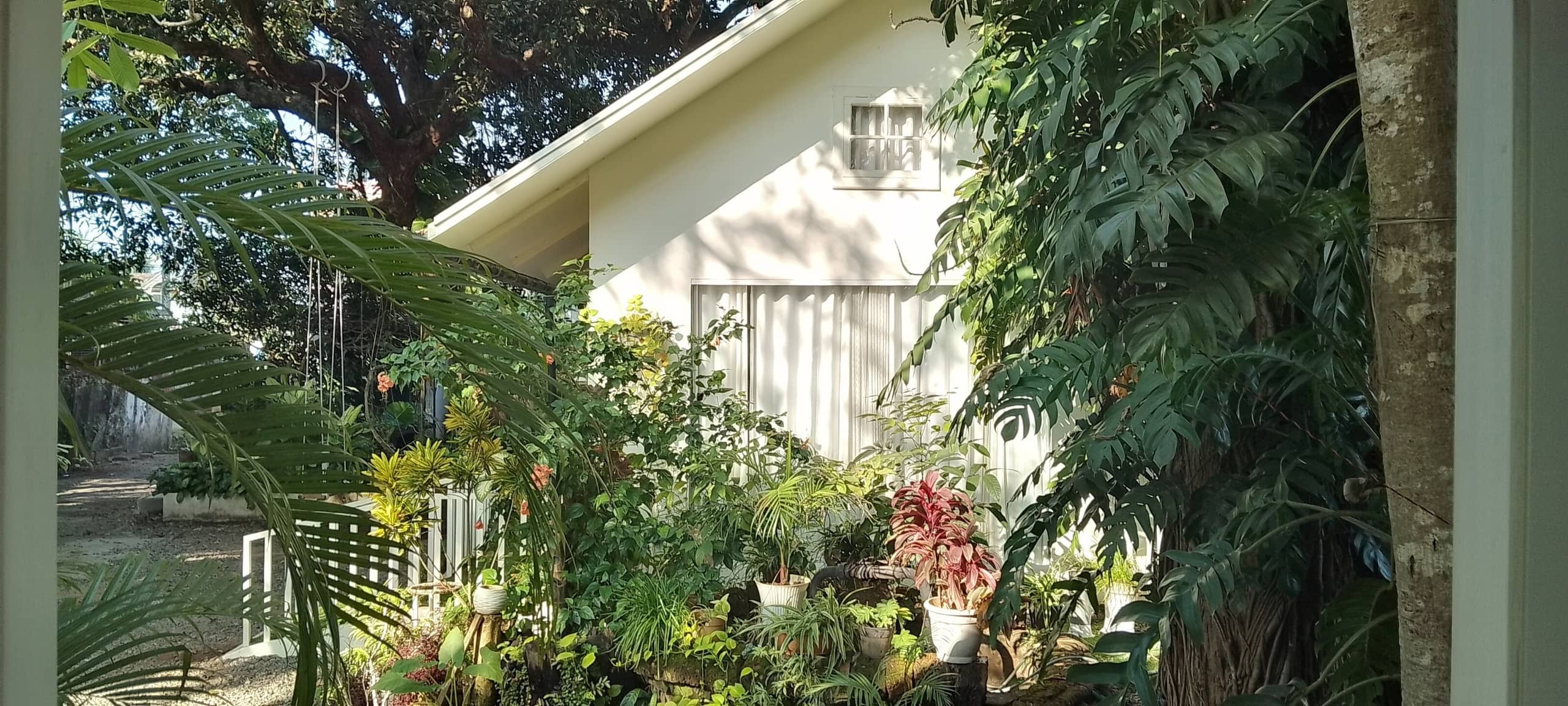 Natur Casa- Private Cottage nestled in nature! 5