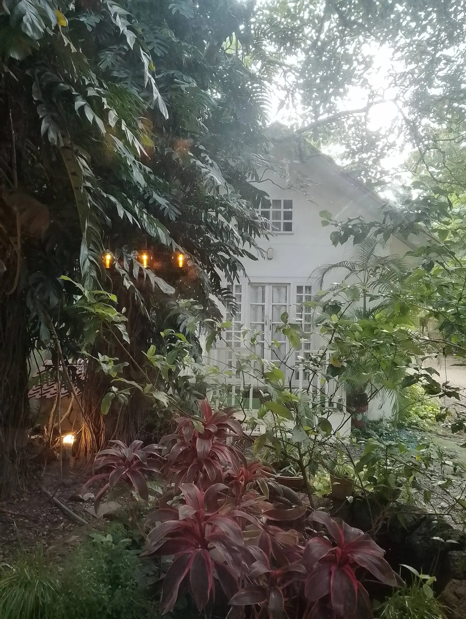 Natur Casa- Private Cottage nestled in nature! 38