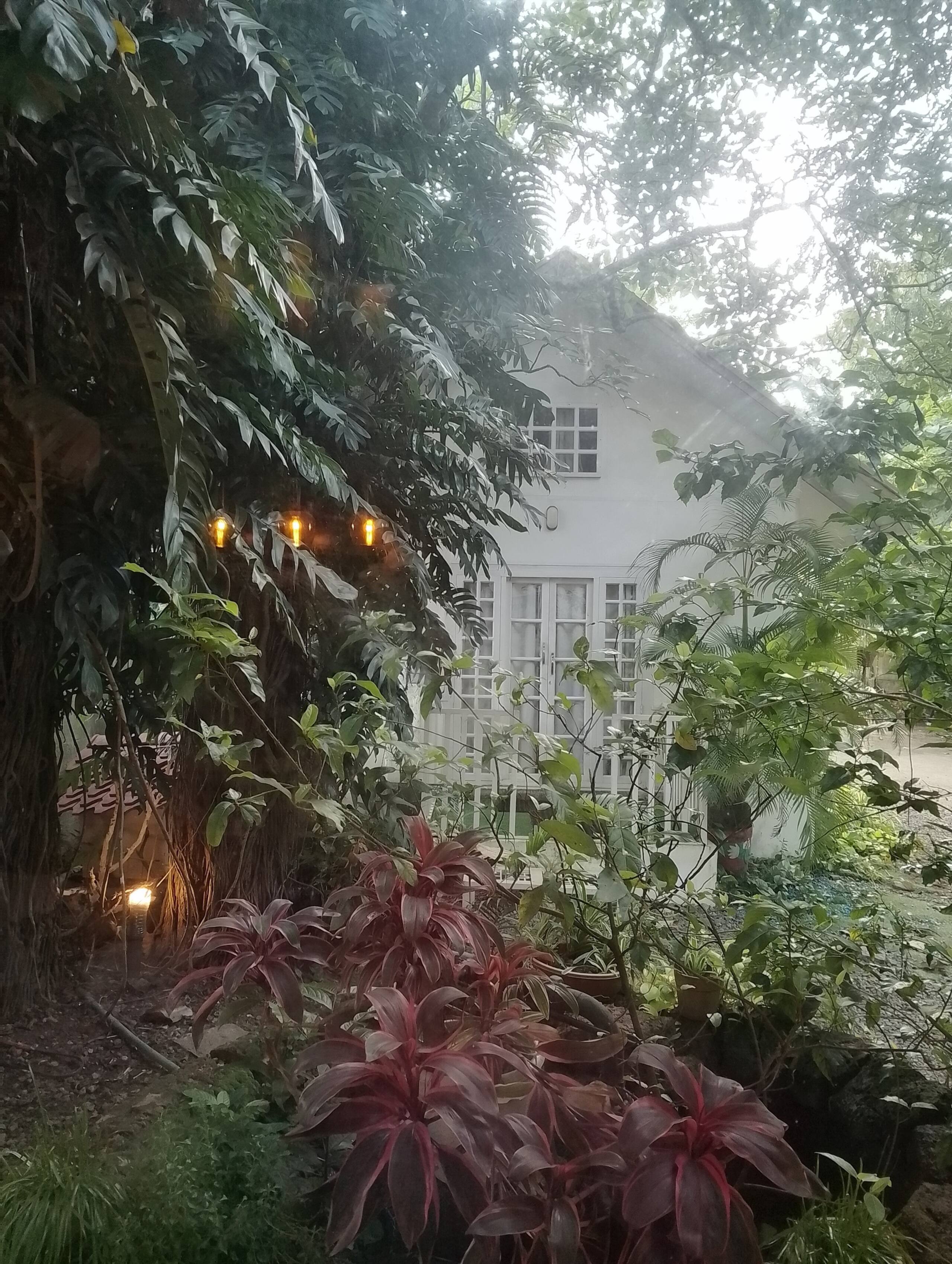 Natur Casa- Private Cottage nestled in nature! 38