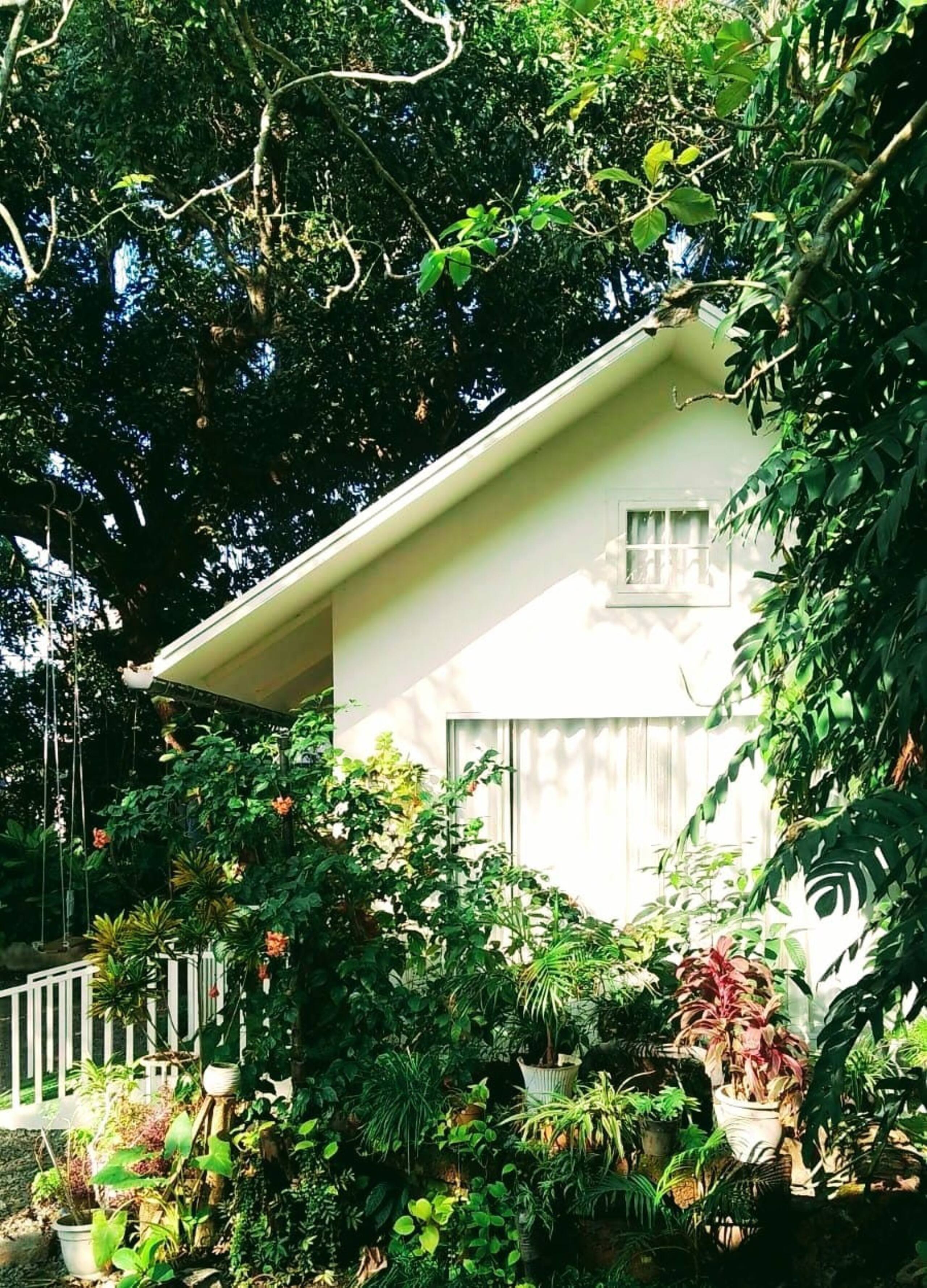 Natur Casa- Private Cottage nestled in nature! 7