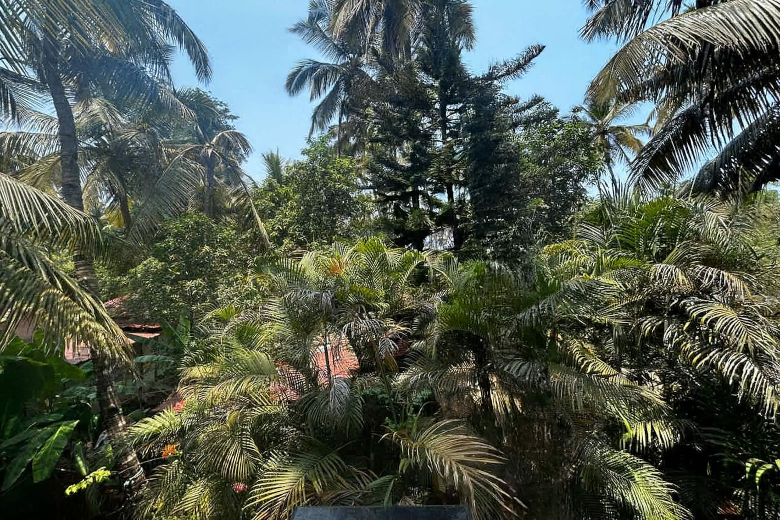 2BHK Apartment 4 Min Walk to Palolem Beach 17
