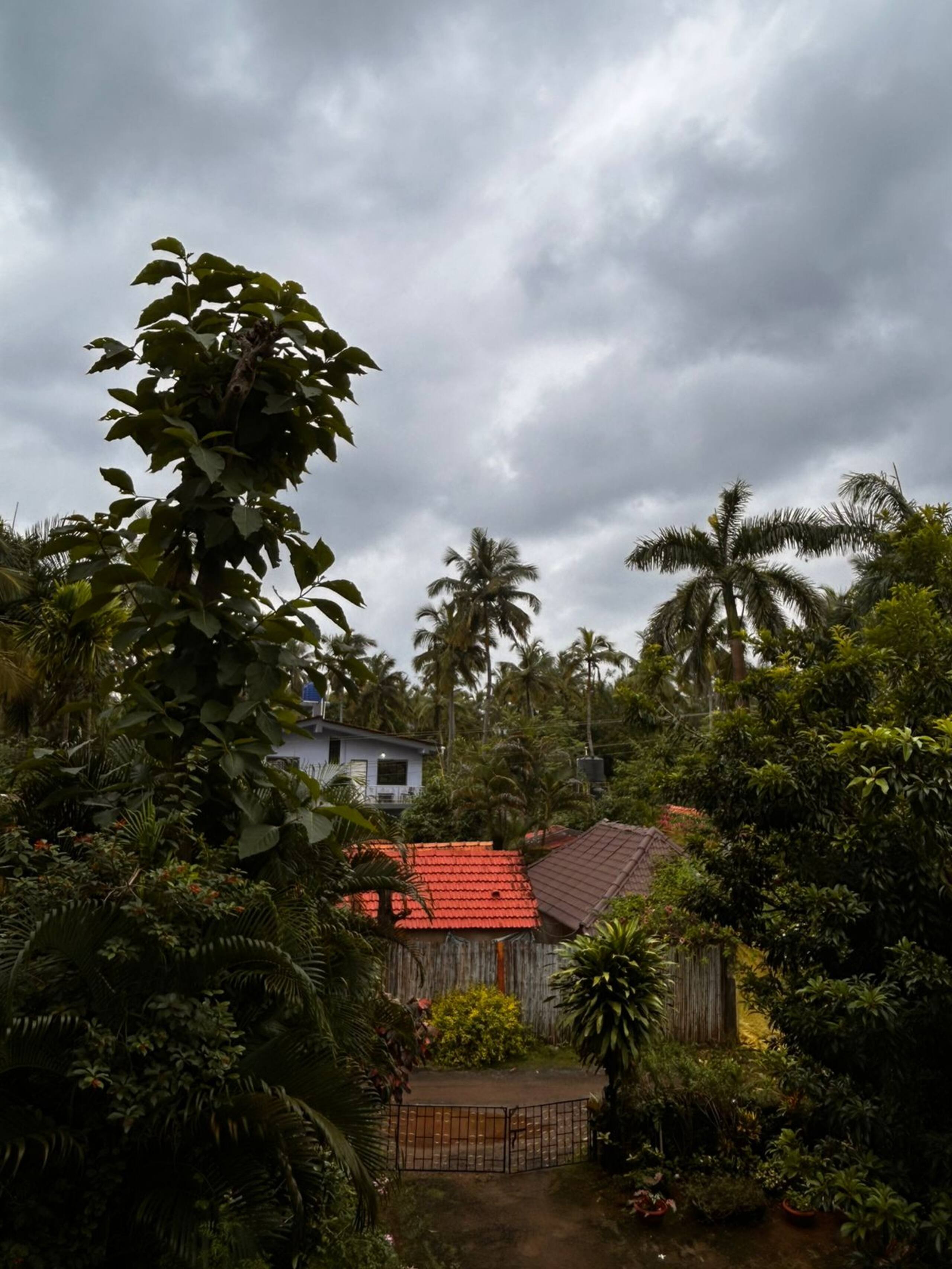 2BHK Apartment 4 Min Walk to Palolem Beach 7