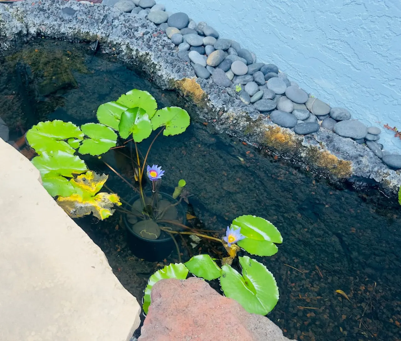 Blue Lagoon 3