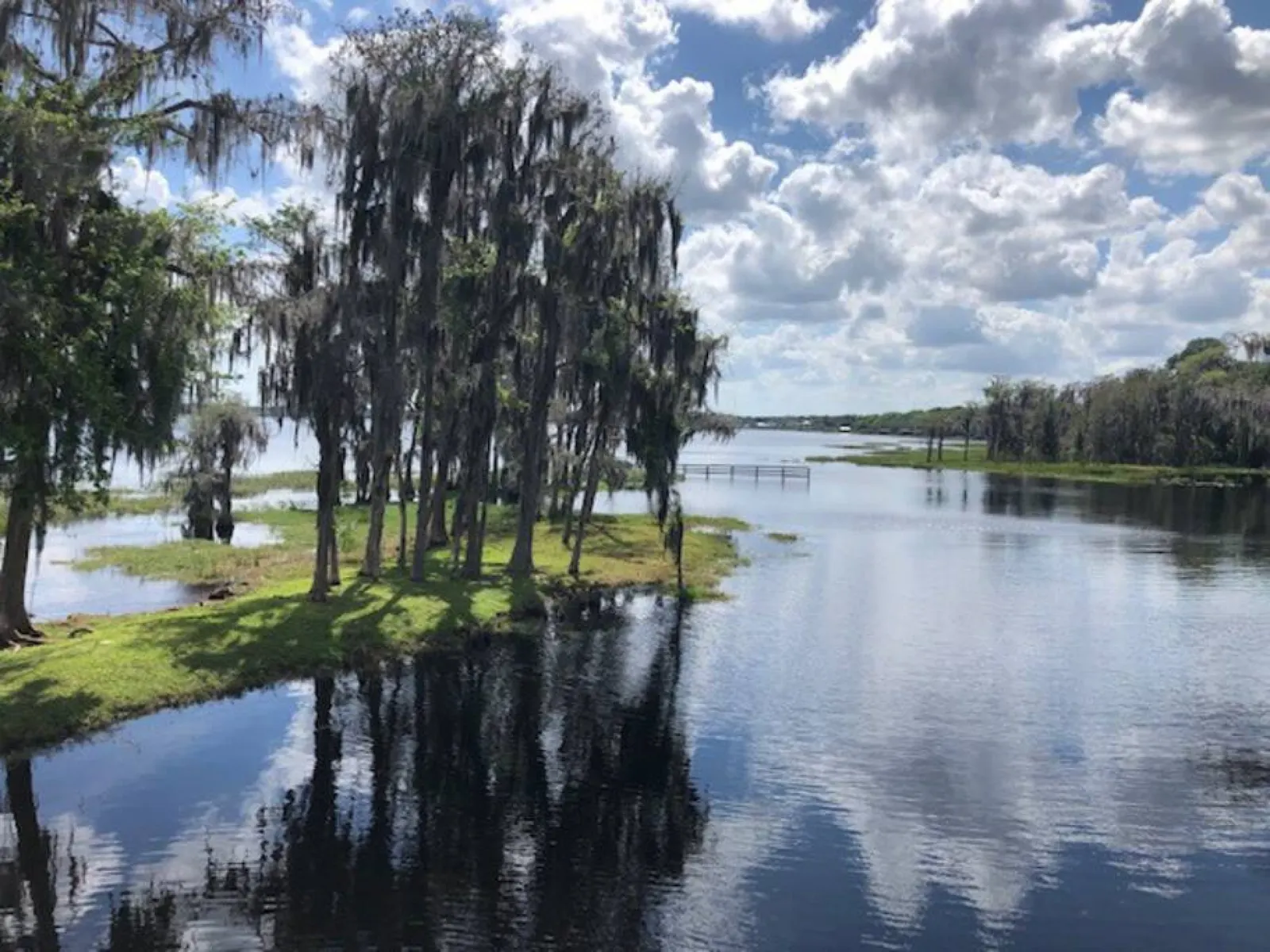 The Dockside House - Pet friendly Lakeside Tiny Home in Clermont 16
