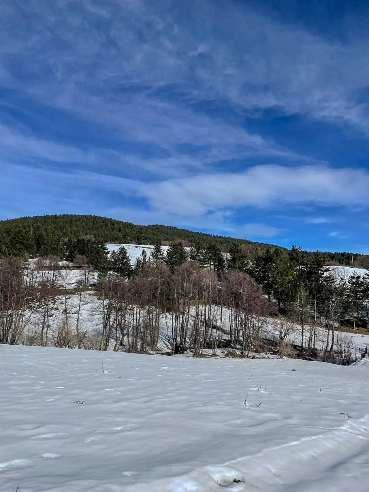 Casa Vacanze Abete Bianco - Lorica 18