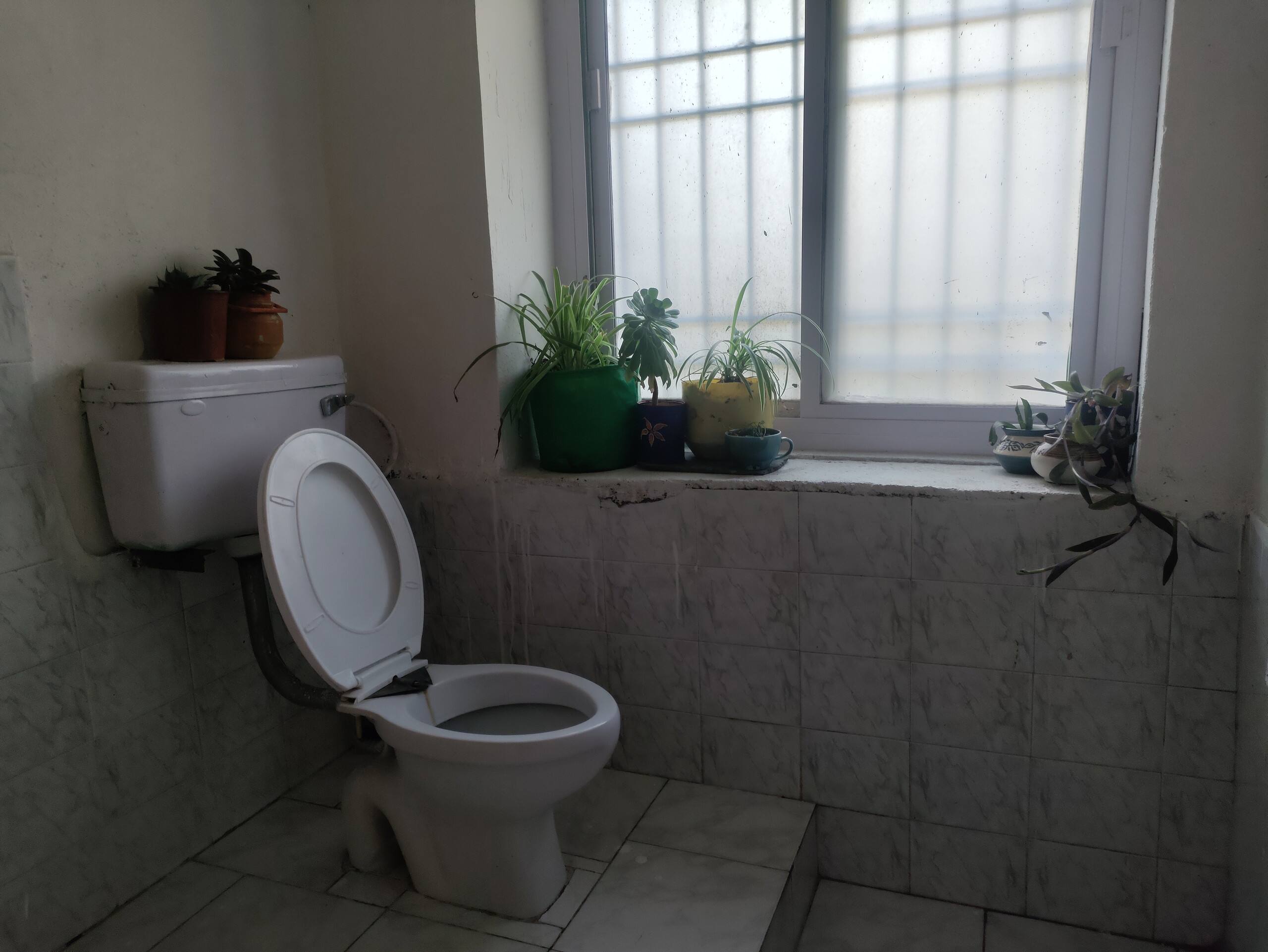 Garden view room at Shunya Farm 6