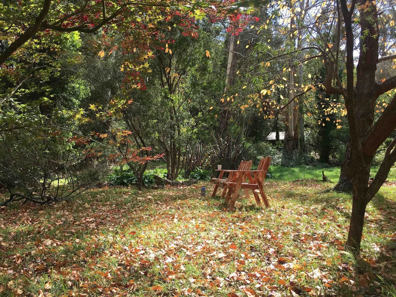 Treetops Chalet - Spacious Family-Friendly Amongst the Trees 10