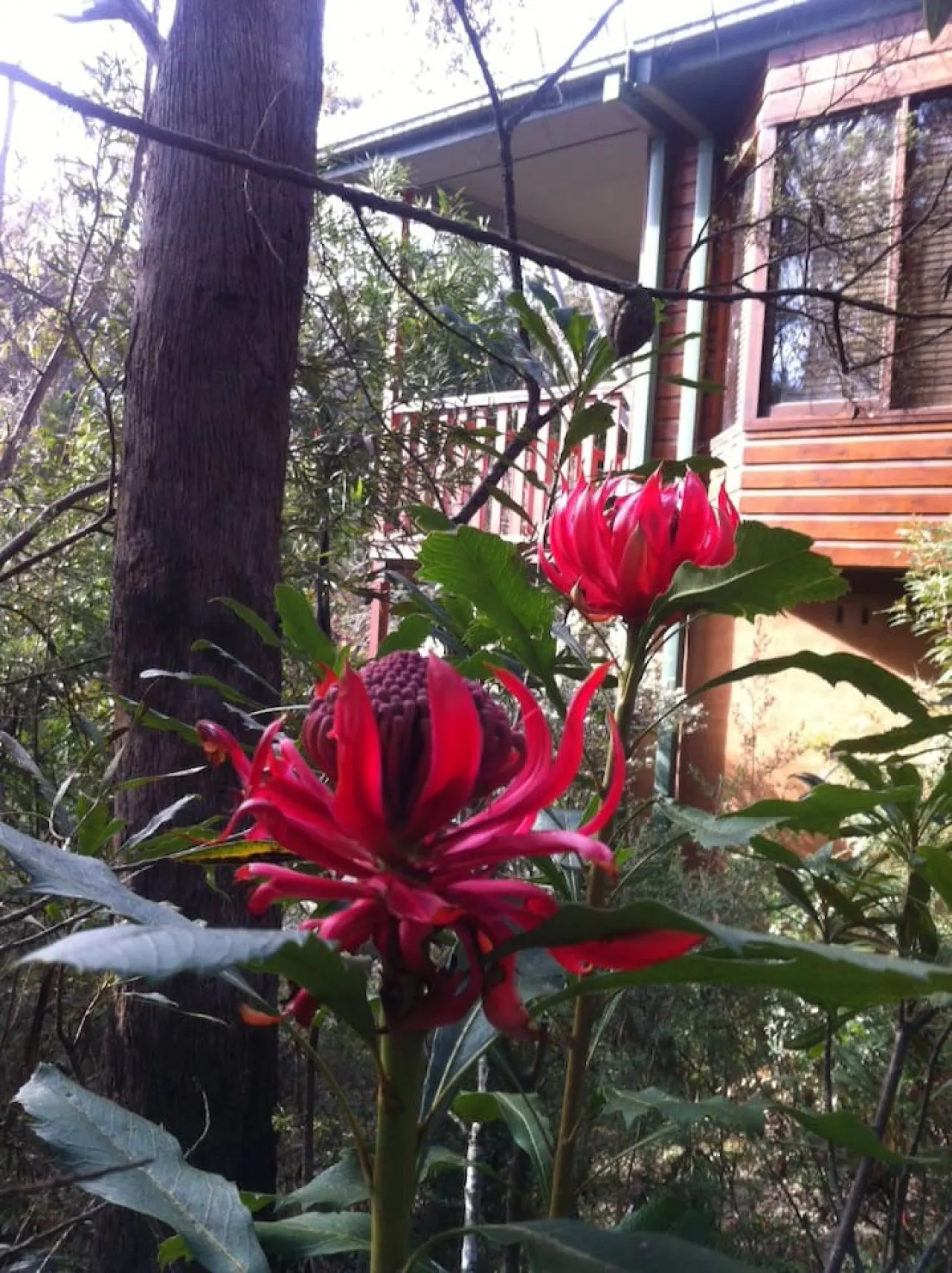 Treetops Chalet - Spacious Family-Friendly Amongst the Trees 15