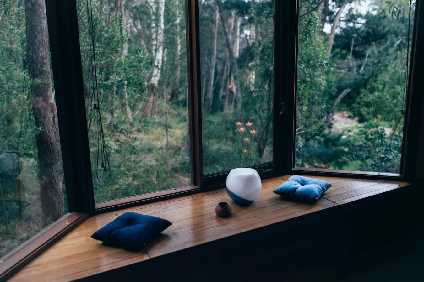 Treetops Chalet - Spacious Family-Friendly Amongst the Trees 6