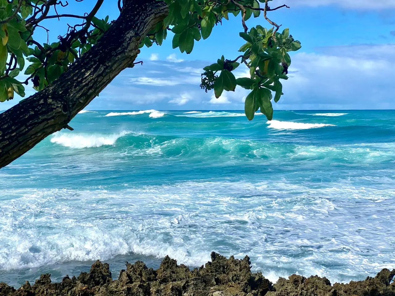 Walk to beach, pool, tennis, golf, restaurants, AC -Turtle Bay Hideaway 17